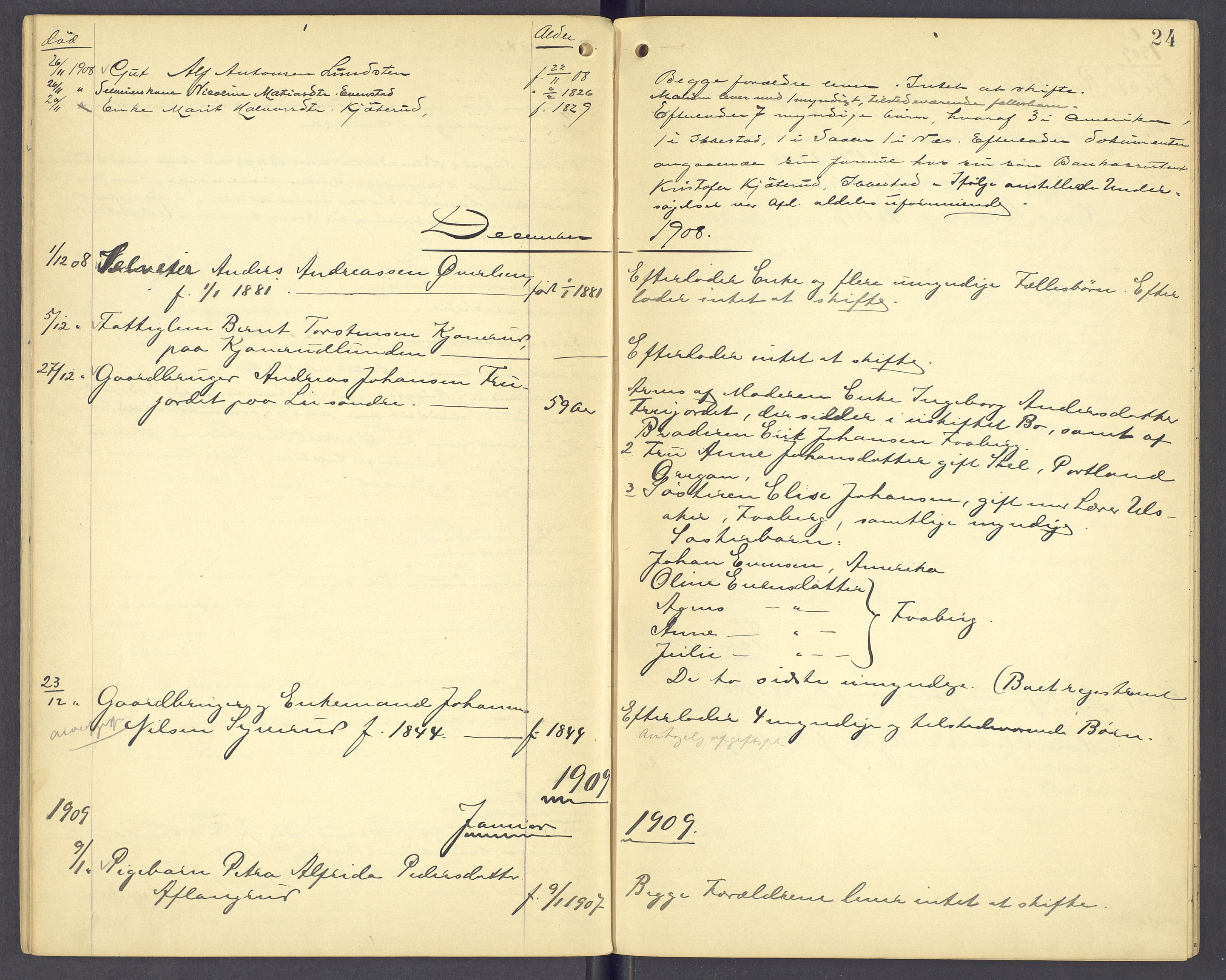 Nord-Hedmark sorenskriveri, AV/SAH-TING-012/J/Ji/L0005: Dødsfallsprotokoll - Nes, 1903-1910, p. 24