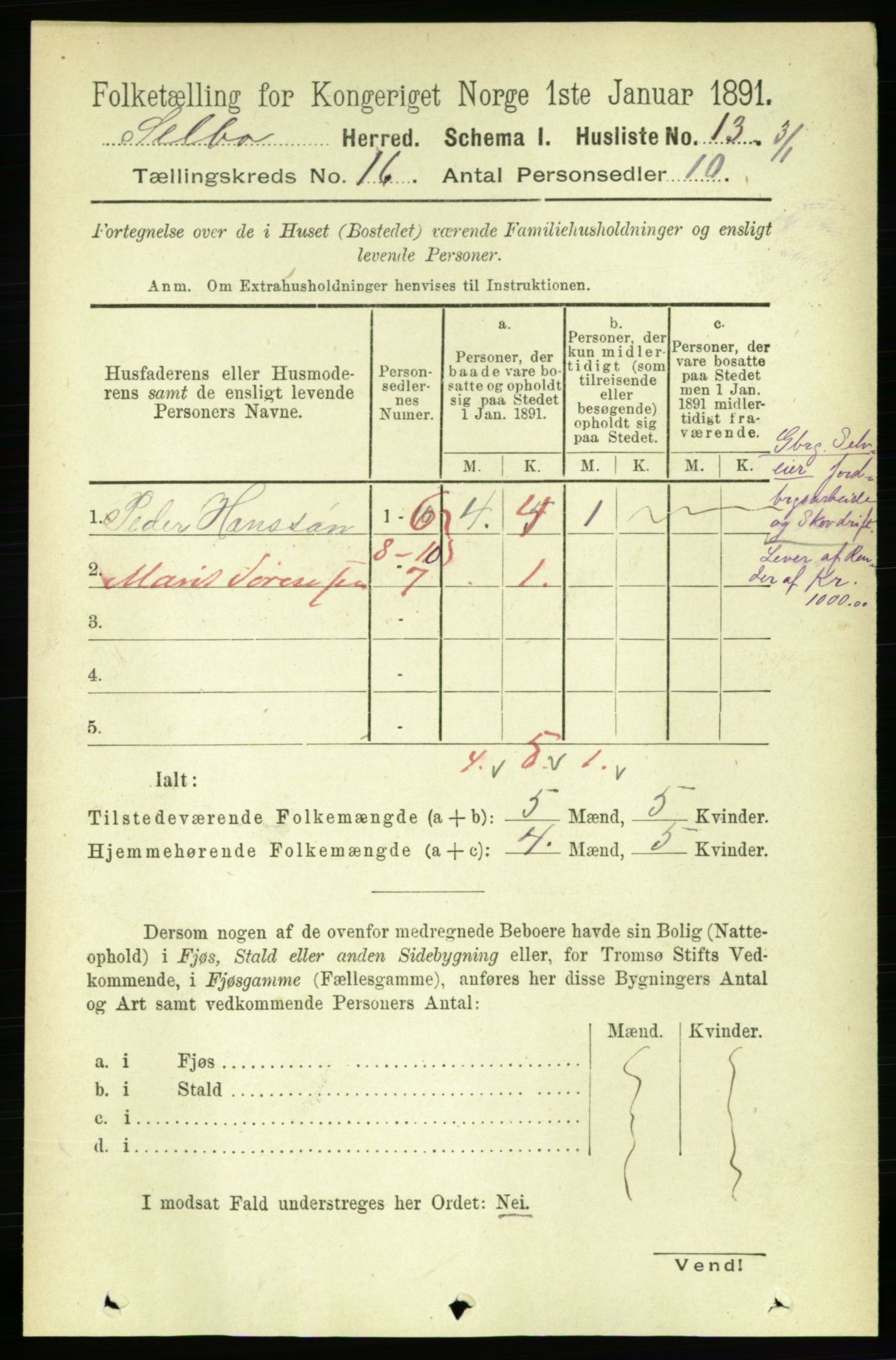 RA, 1891 census for 1664 Selbu, 1891, p. 5699