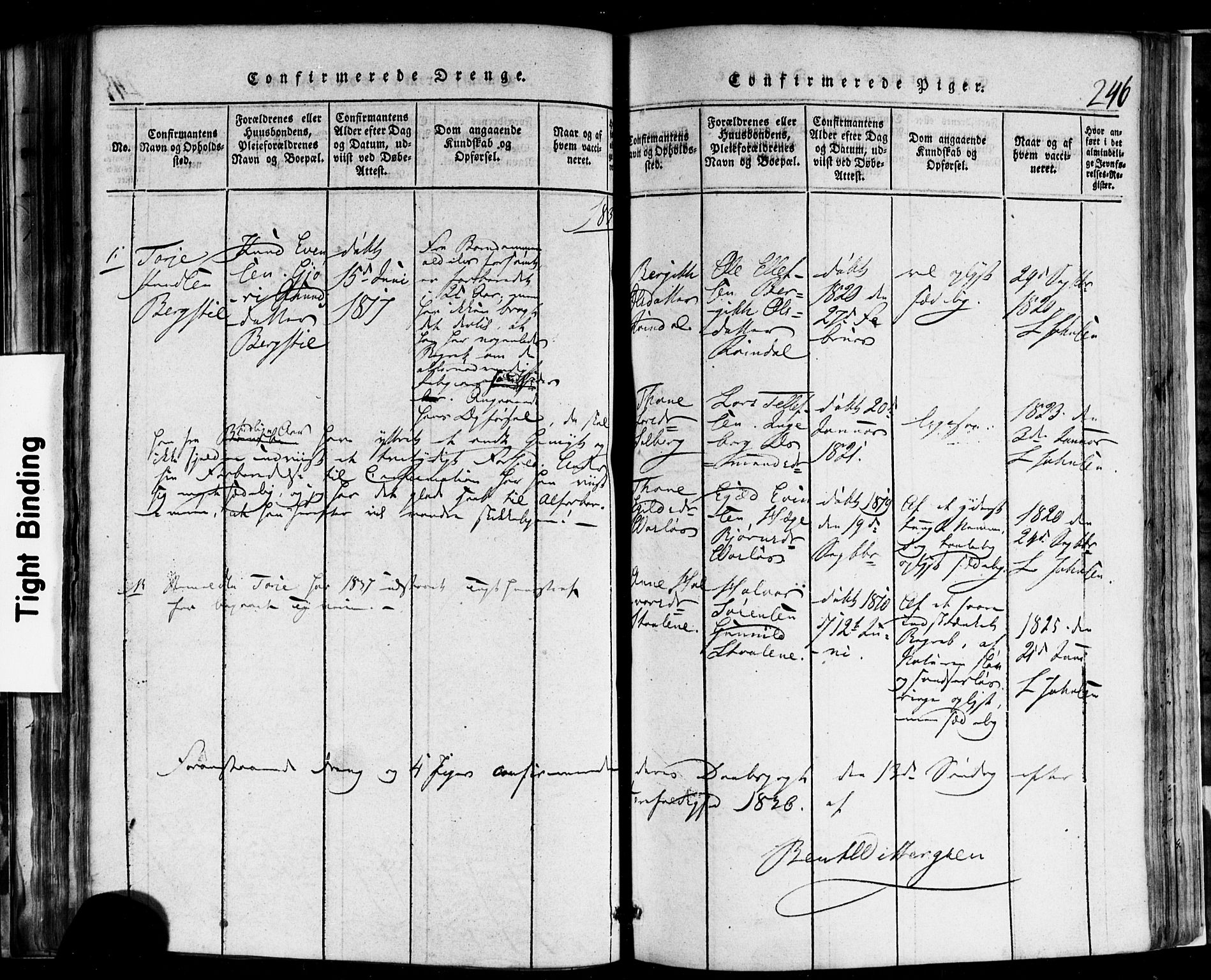 Rauland kirkebøker, SAKO/A-292/F/Fa/L0002: Parish register (official) no. 2, 1815-1860, p. 246