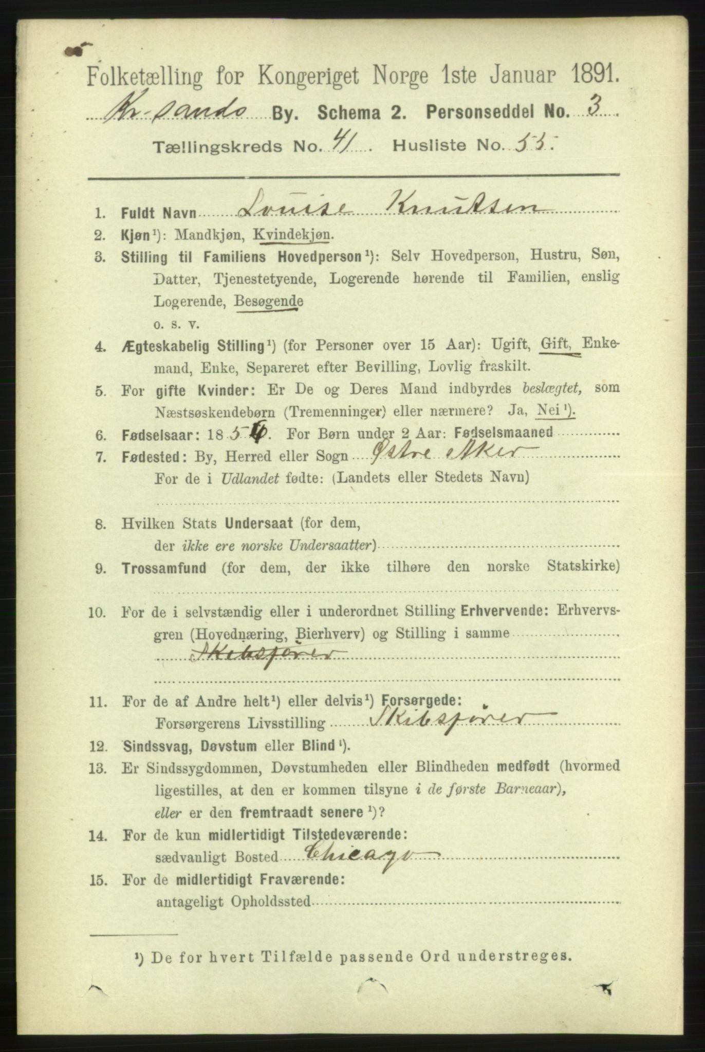 RA, 1891 census for 1001 Kristiansand, 1891, p. 13069