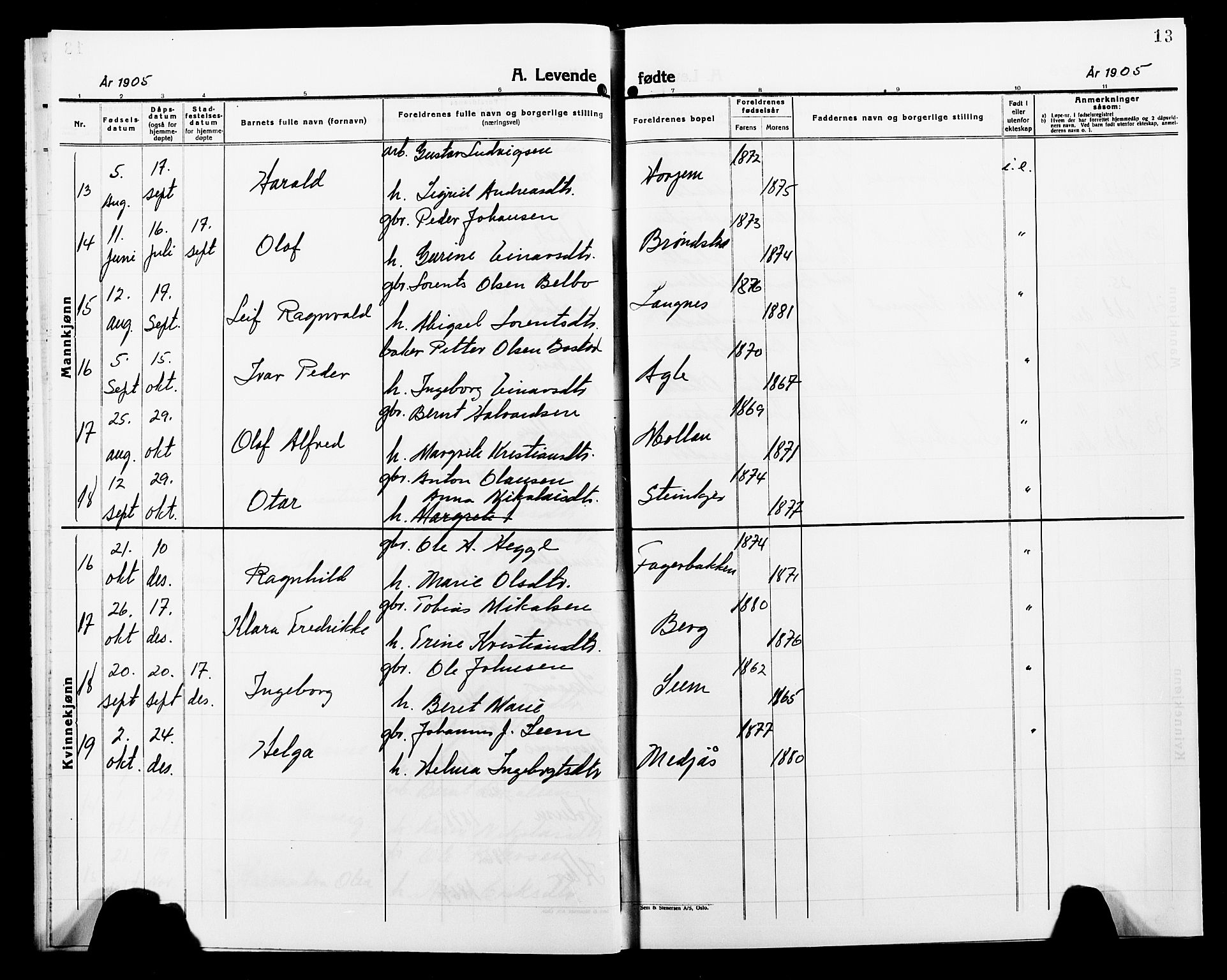 Ministerialprotokoller, klokkerbøker og fødselsregistre - Nord-Trøndelag, AV/SAT-A-1458/749/L0488: Parish register (official) no. 749D04, 1903-1915, p. 13