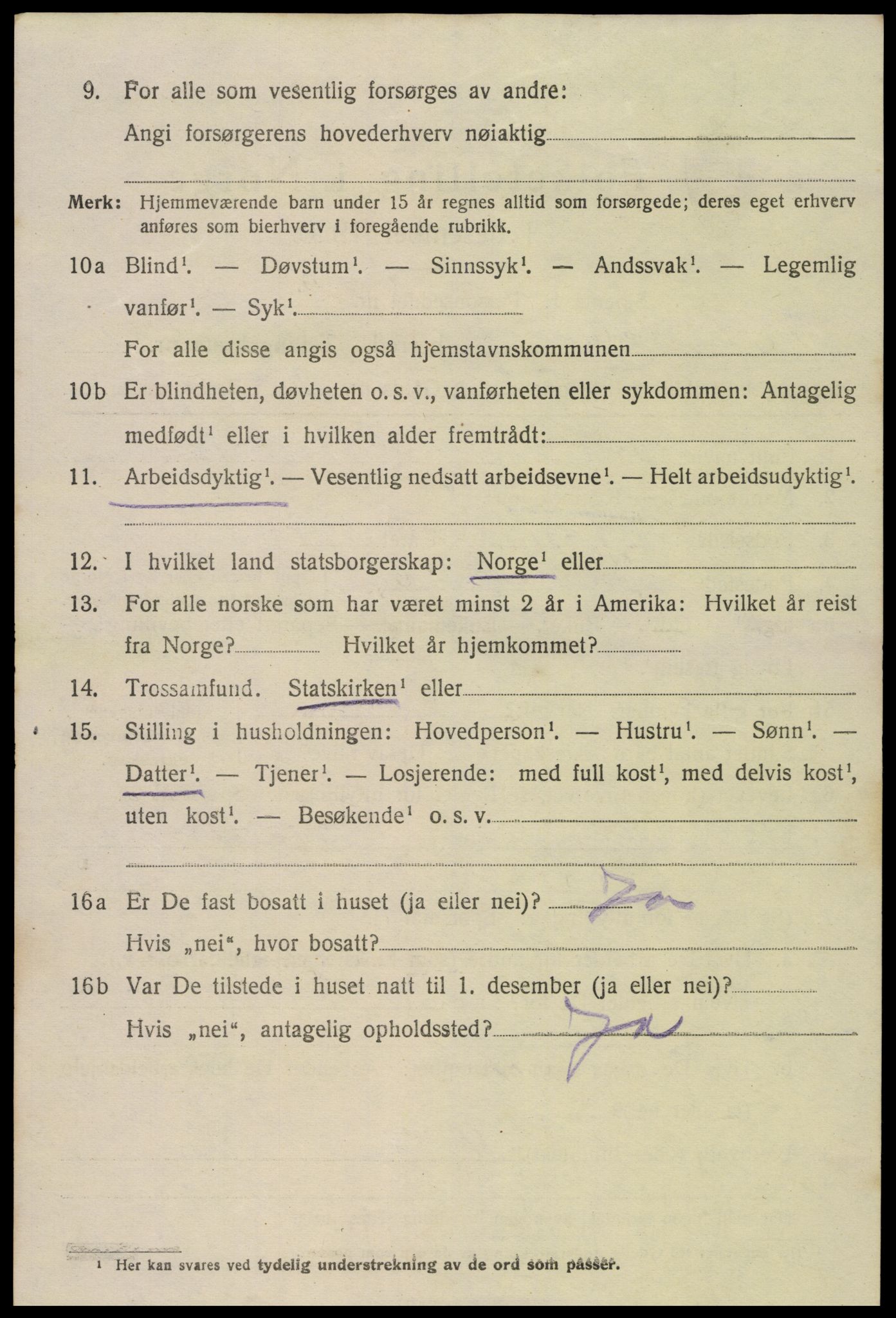 SAK, 1920 census for Hornnes, 1920, p. 584