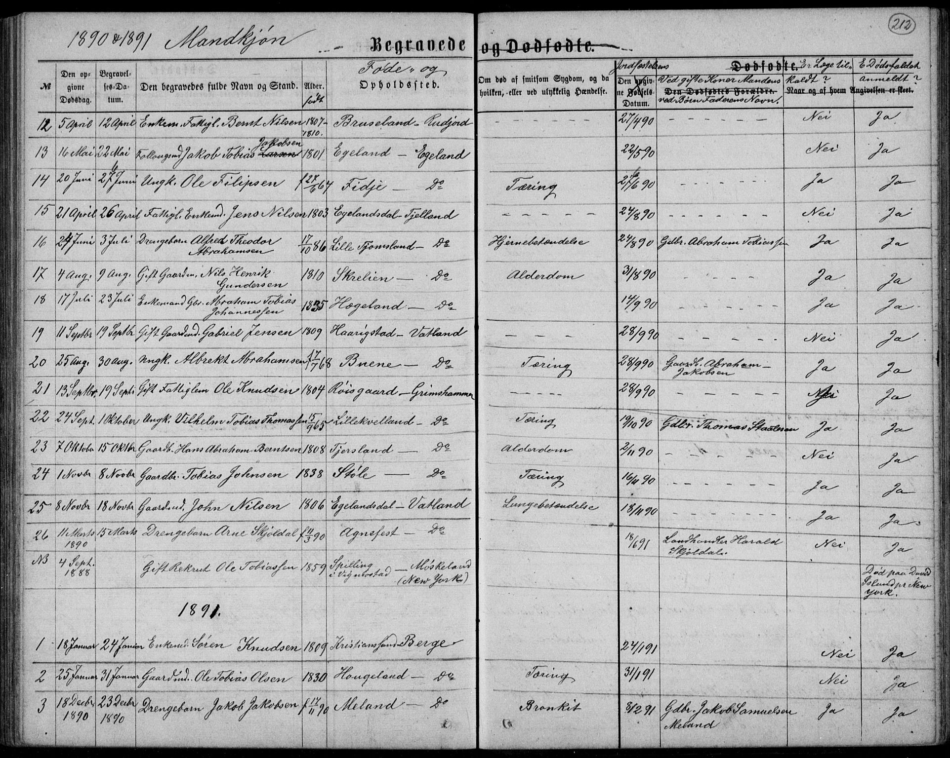 Lyngdal sokneprestkontor, AV/SAK-1111-0029/F/Fb/Fbc/L0004: Parish register (copy) no. B 4, 1878-1896, p. 212