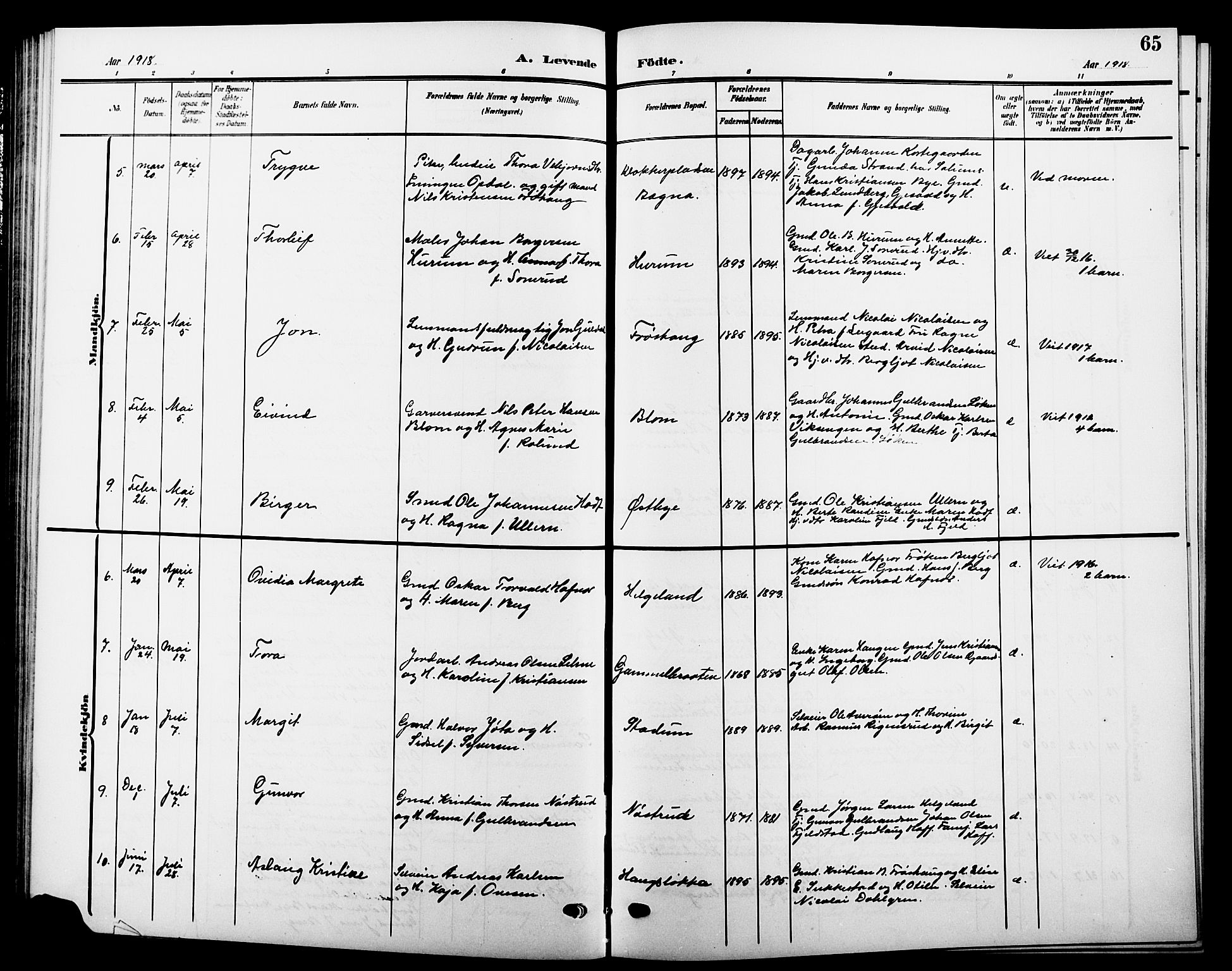 Hole kirkebøker, AV/SAKO-A-228/G/Ga/L0004: Parish register (copy) no. I 4, 1905-1924, p. 65