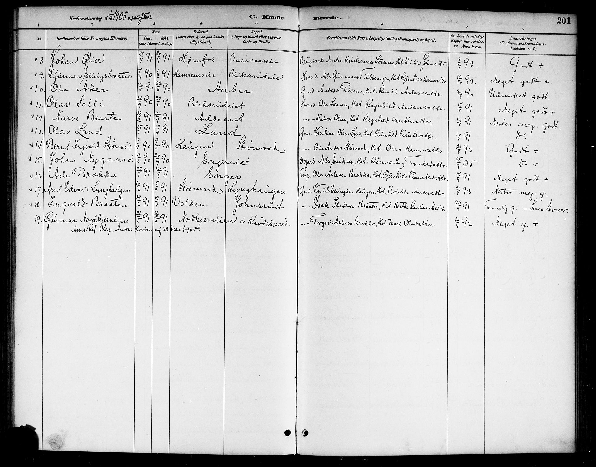 Lunder kirkebøker, AV/SAKO-A-629/G/Ga/L0004: Parish register (copy) no. I 4, 1889-1917, p. 201