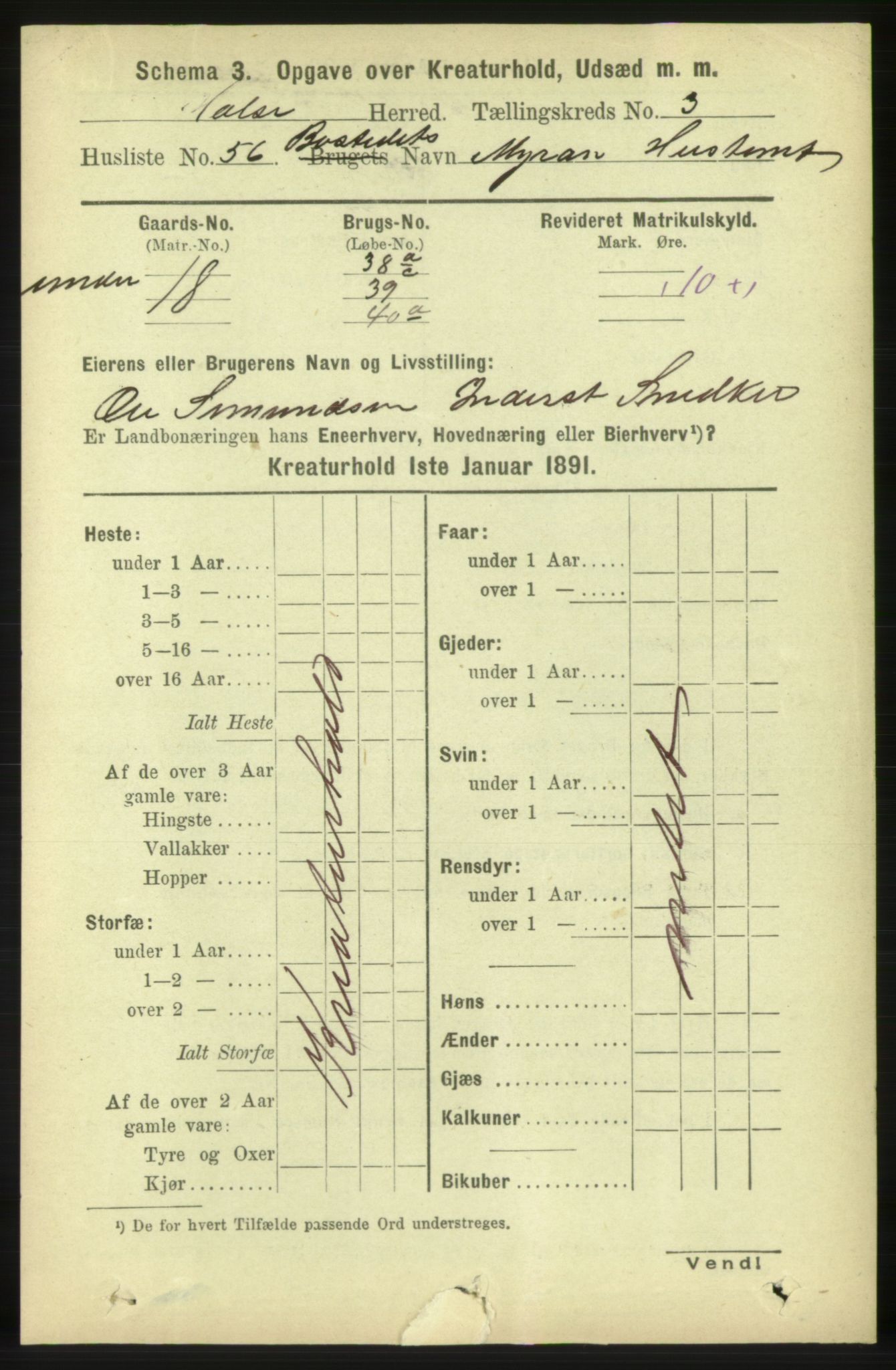 RA, 1891 census for 1571 Halsa, 1891, p. 2078