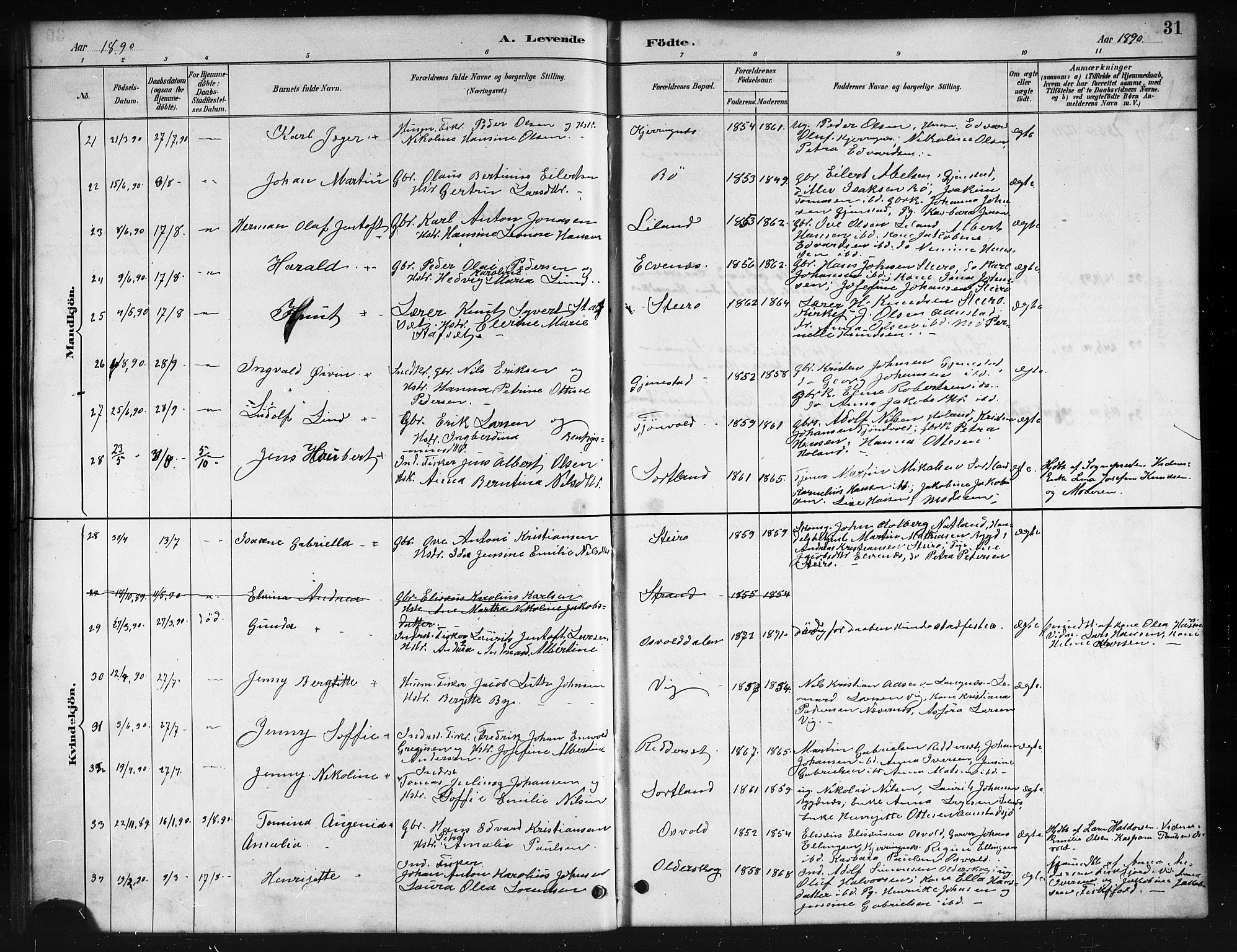 Ministerialprotokoller, klokkerbøker og fødselsregistre - Nordland, AV/SAT-A-1459/895/L1382: Parish register (copy) no. 895C04, 1885-1896, p. 31