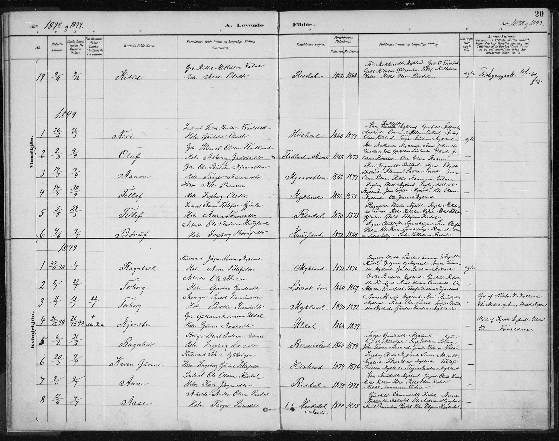 Herefoss sokneprestkontor, SAK/1111-0019/F/Fa/Fac/L0002: Parish register (official) no. A 2, 1887-1915, p. 20