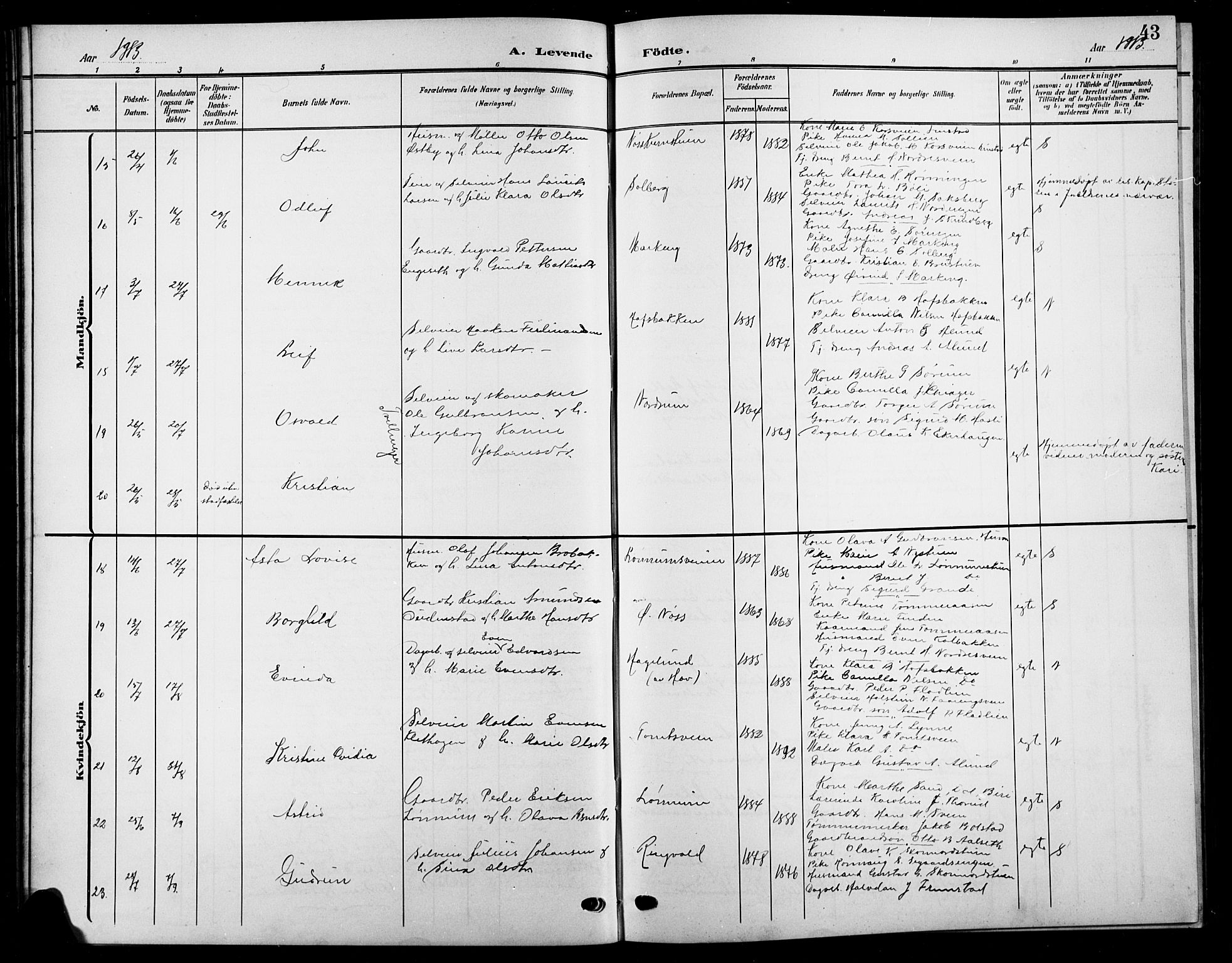 Biri prestekontor, SAH/PREST-096/H/Ha/Hab/L0005: Parish register (copy) no. 5, 1906-1919, p. 43