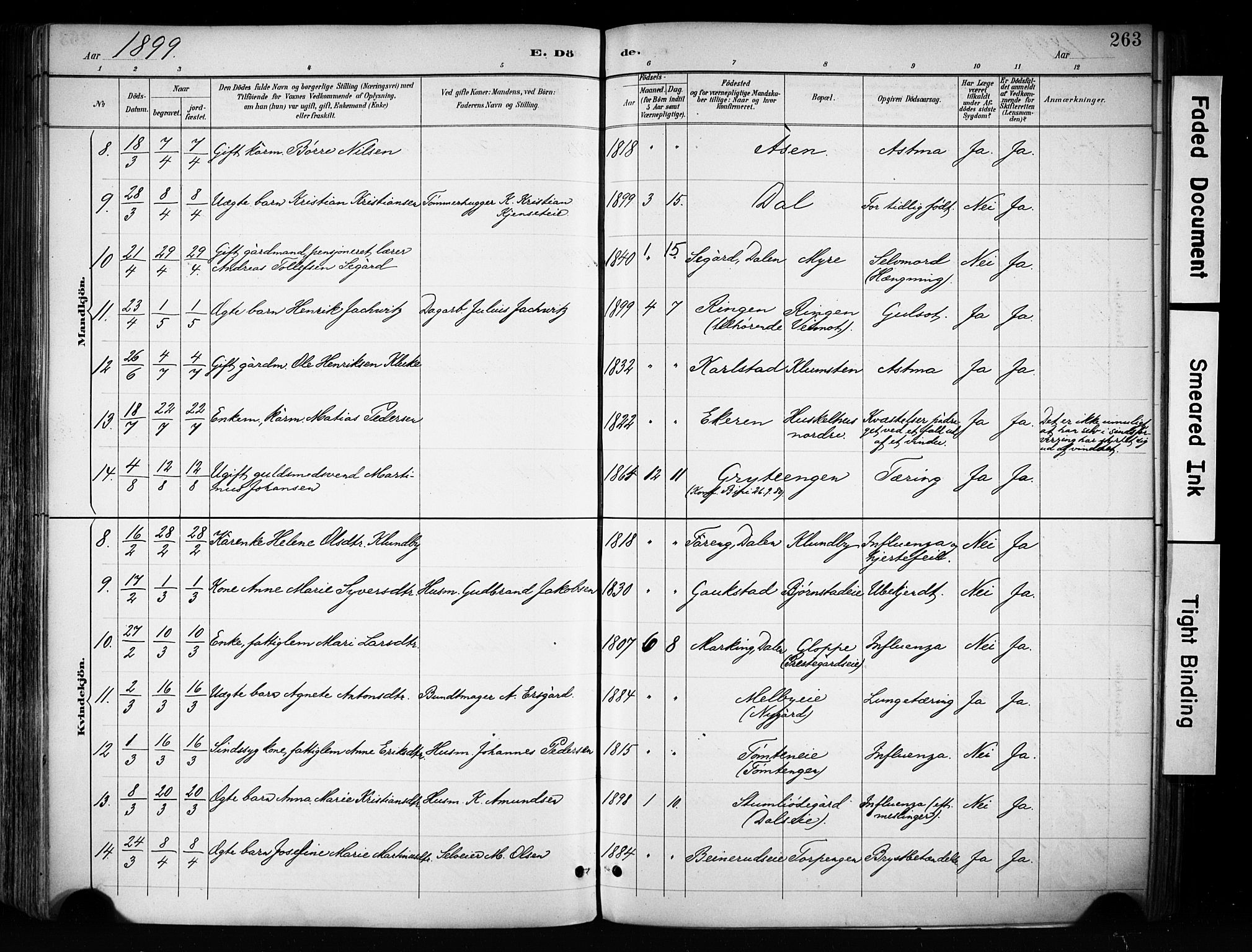 Biri prestekontor, AV/SAH-PREST-096/H/Ha/Haa/L0009: Parish register (official) no. 9, 1887-1900, p. 263