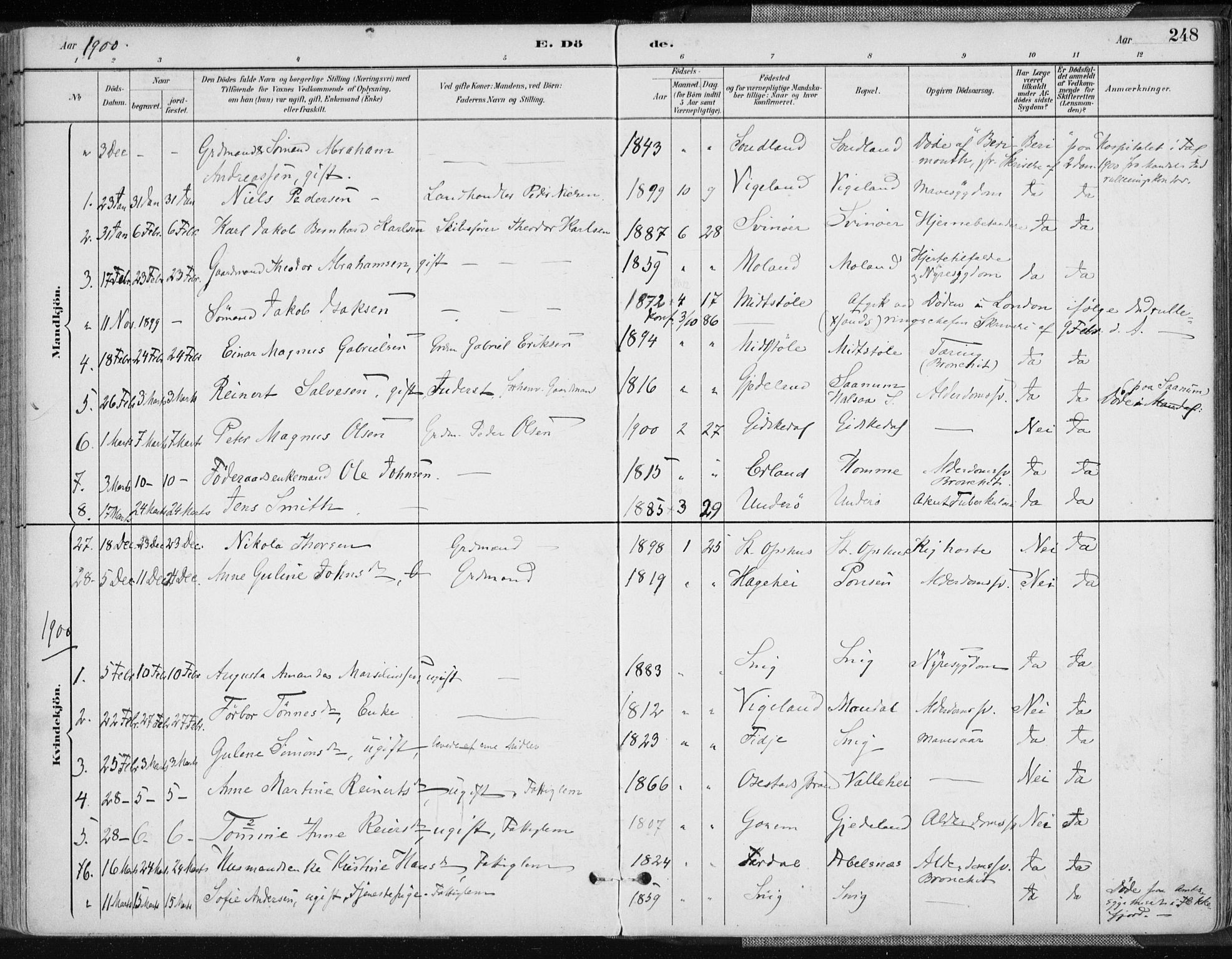 Sør-Audnedal sokneprestkontor, AV/SAK-1111-0039/F/Fa/Fab/L0010: Parish register (official) no. A 10, 1892-1913, p. 248