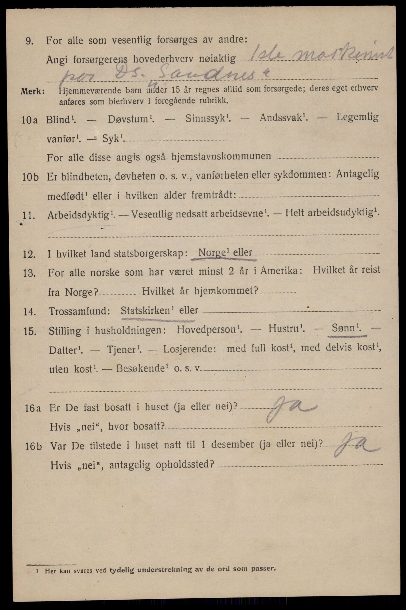 SAST, 1920 census for Sandnes, 1920, p. 4207