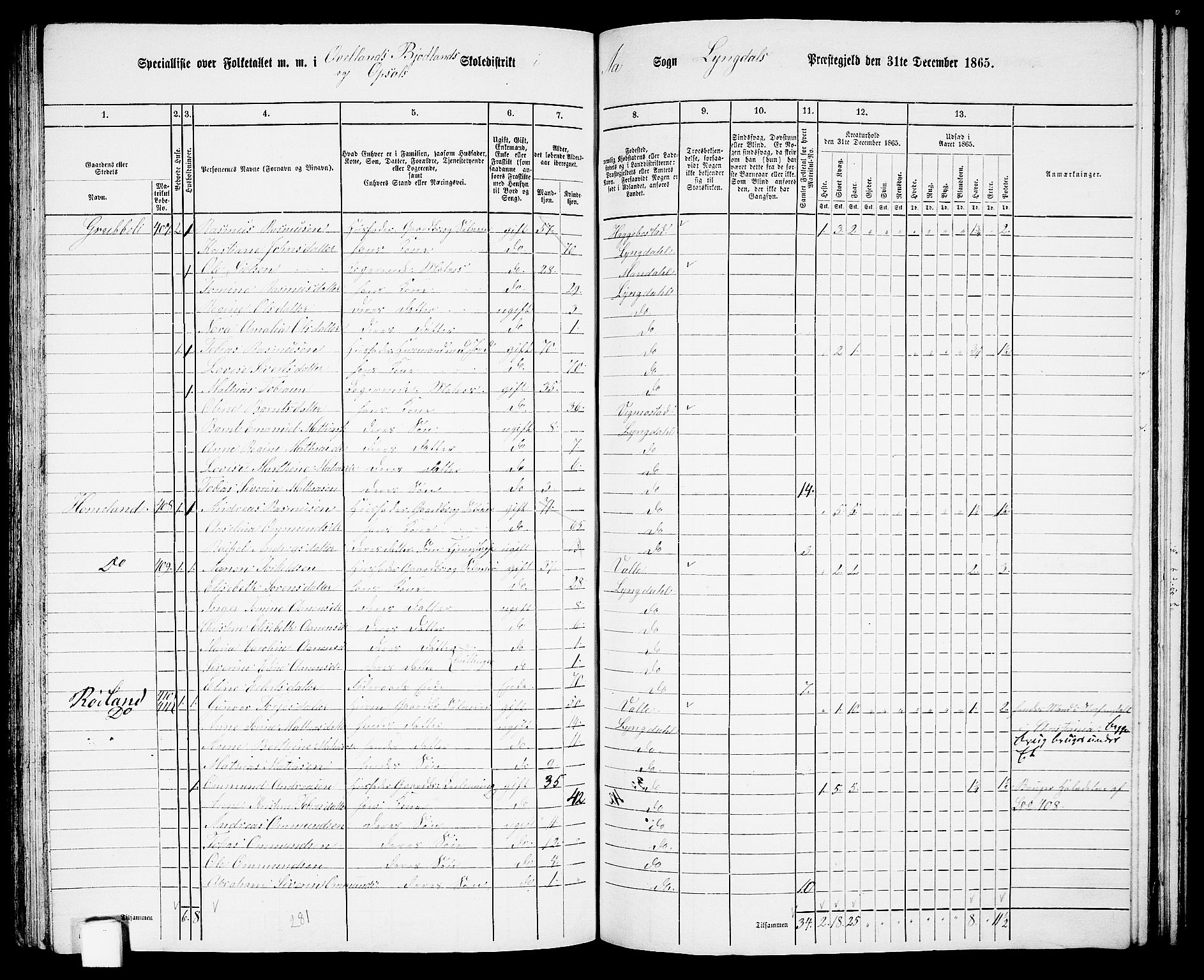 RA, 1865 census for Lyngdal, 1865, p. 173