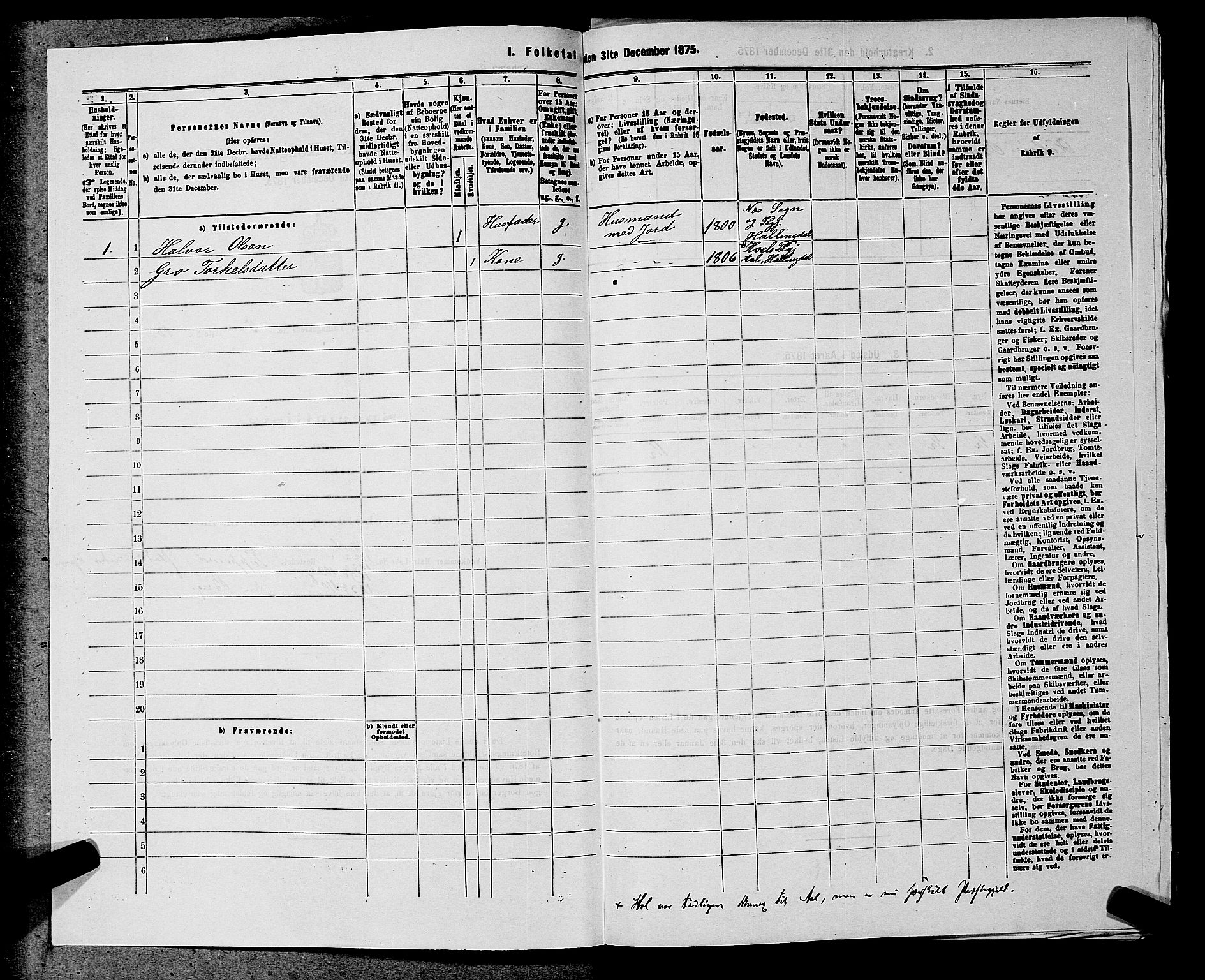 SAKO, 1875 census for 0616P Nes, 1875, p. 861