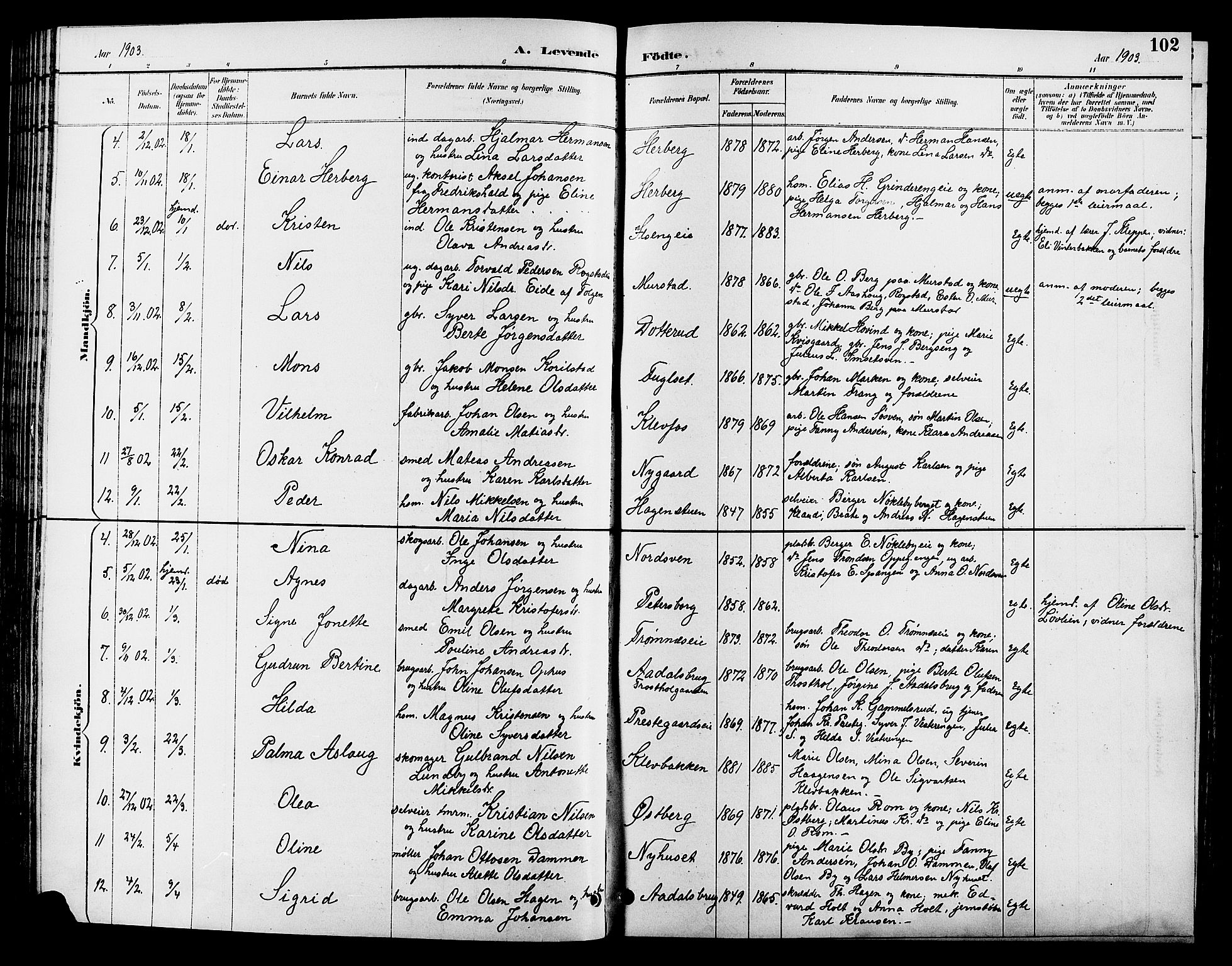 Løten prestekontor, SAH/PREST-022/L/La/L0006: Parish register (copy) no. 6, 1892-1909, p. 102
