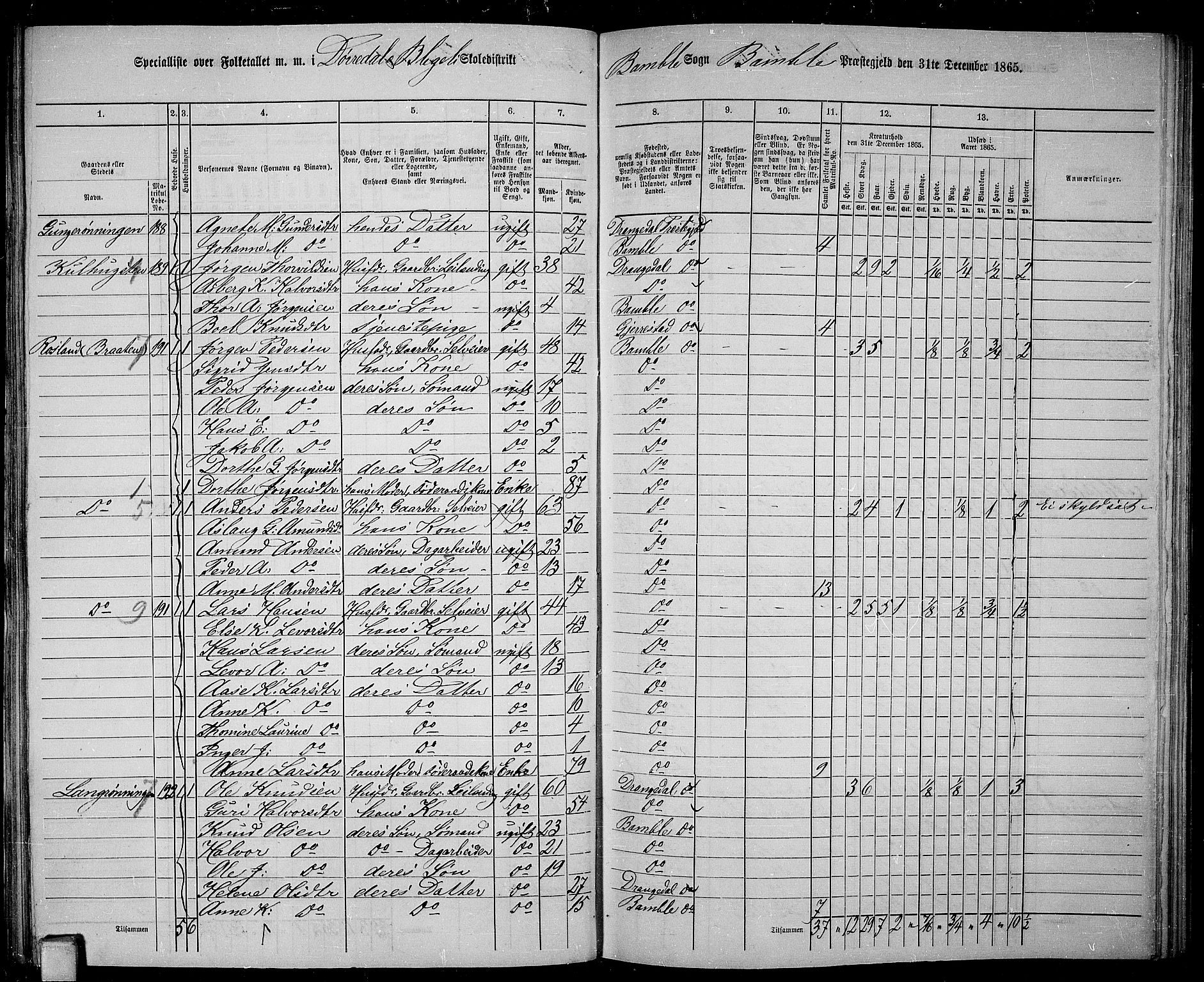 RA, 1865 census for Bamble, 1865, p. 99