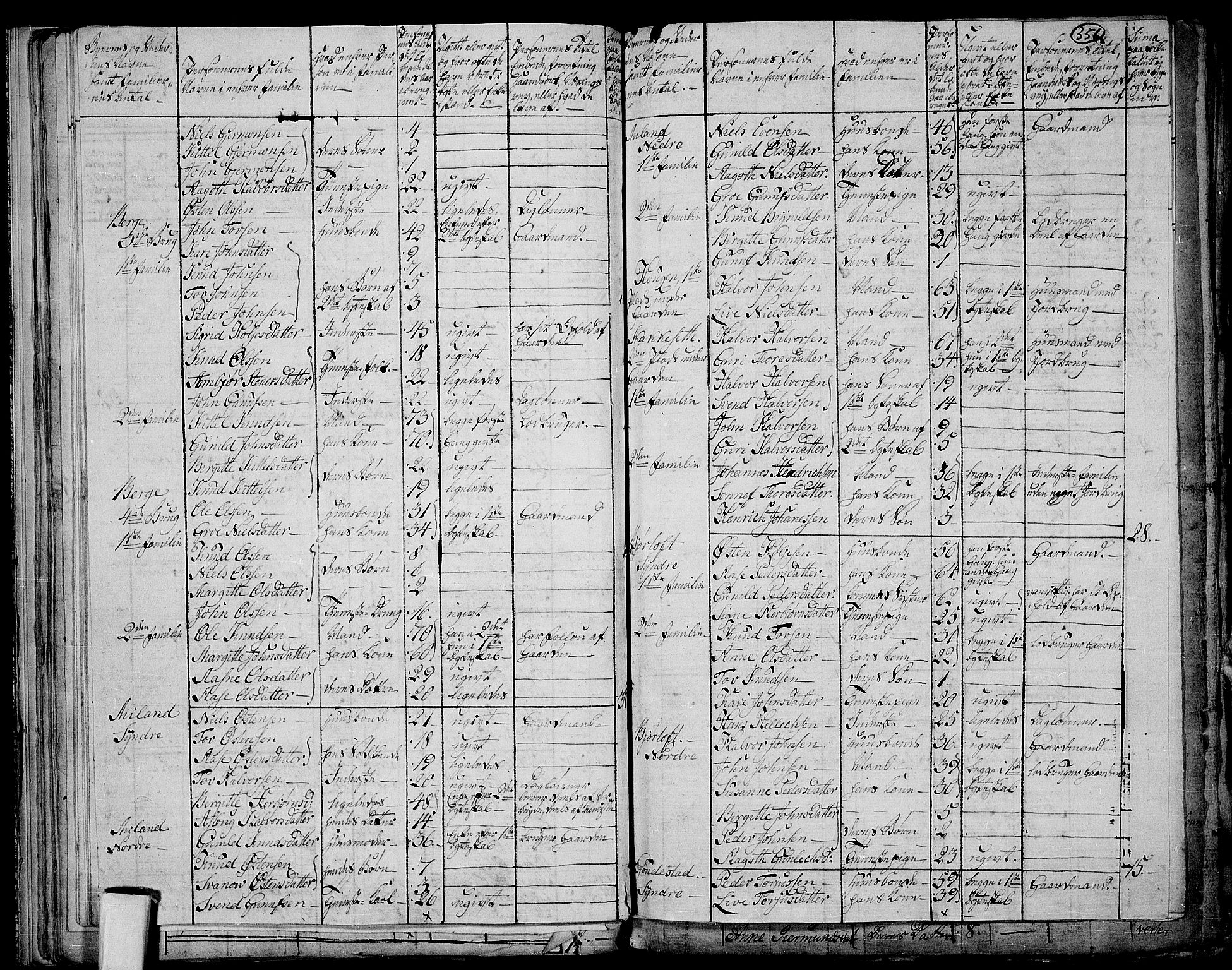 RA, 1801 census for 0826P Tinn, 1801, p. 355b-356a