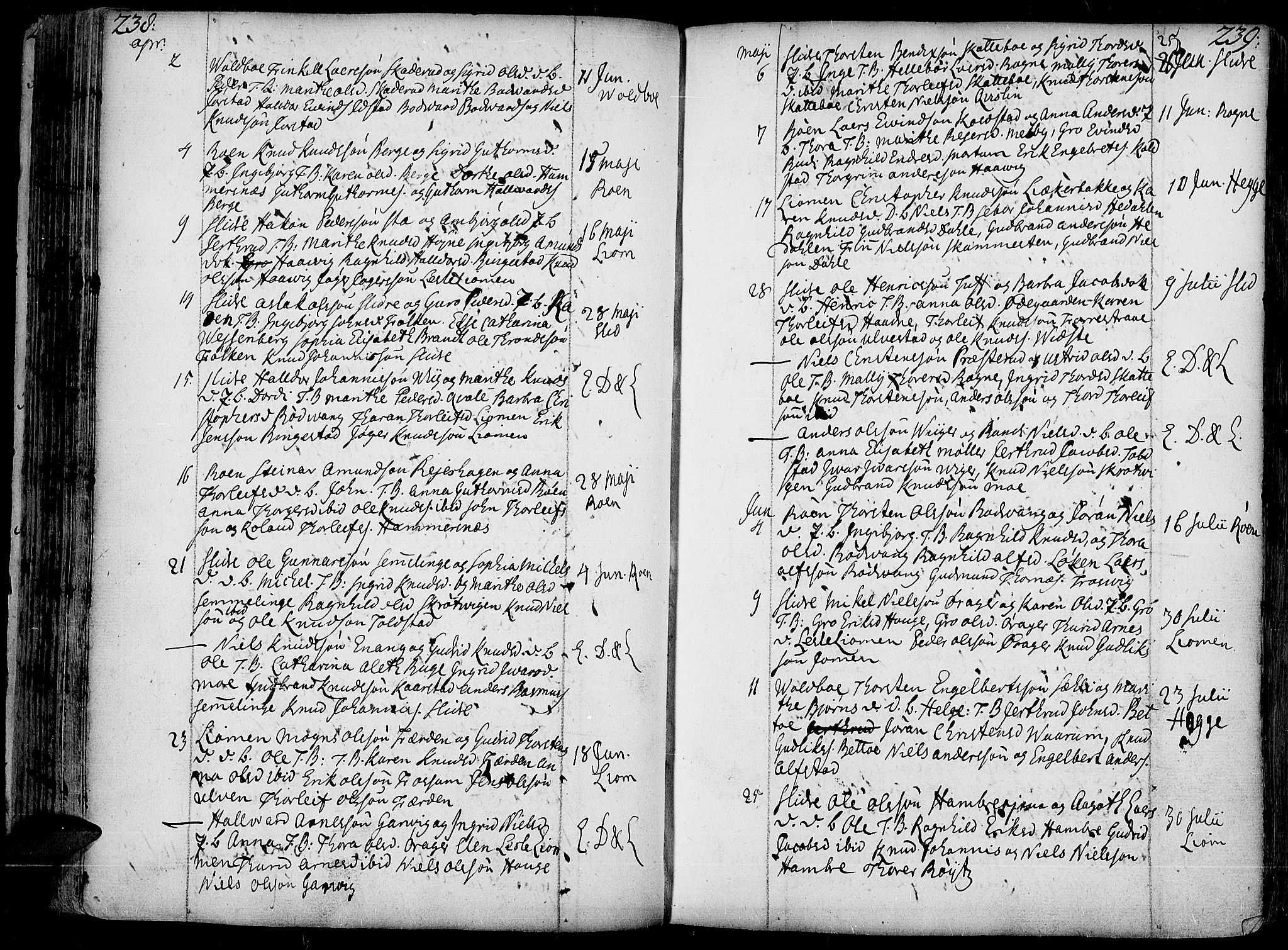 Slidre prestekontor, AV/SAH-PREST-134/H/Ha/Haa/L0001: Parish register (official) no. 1, 1724-1814, p. 238-239