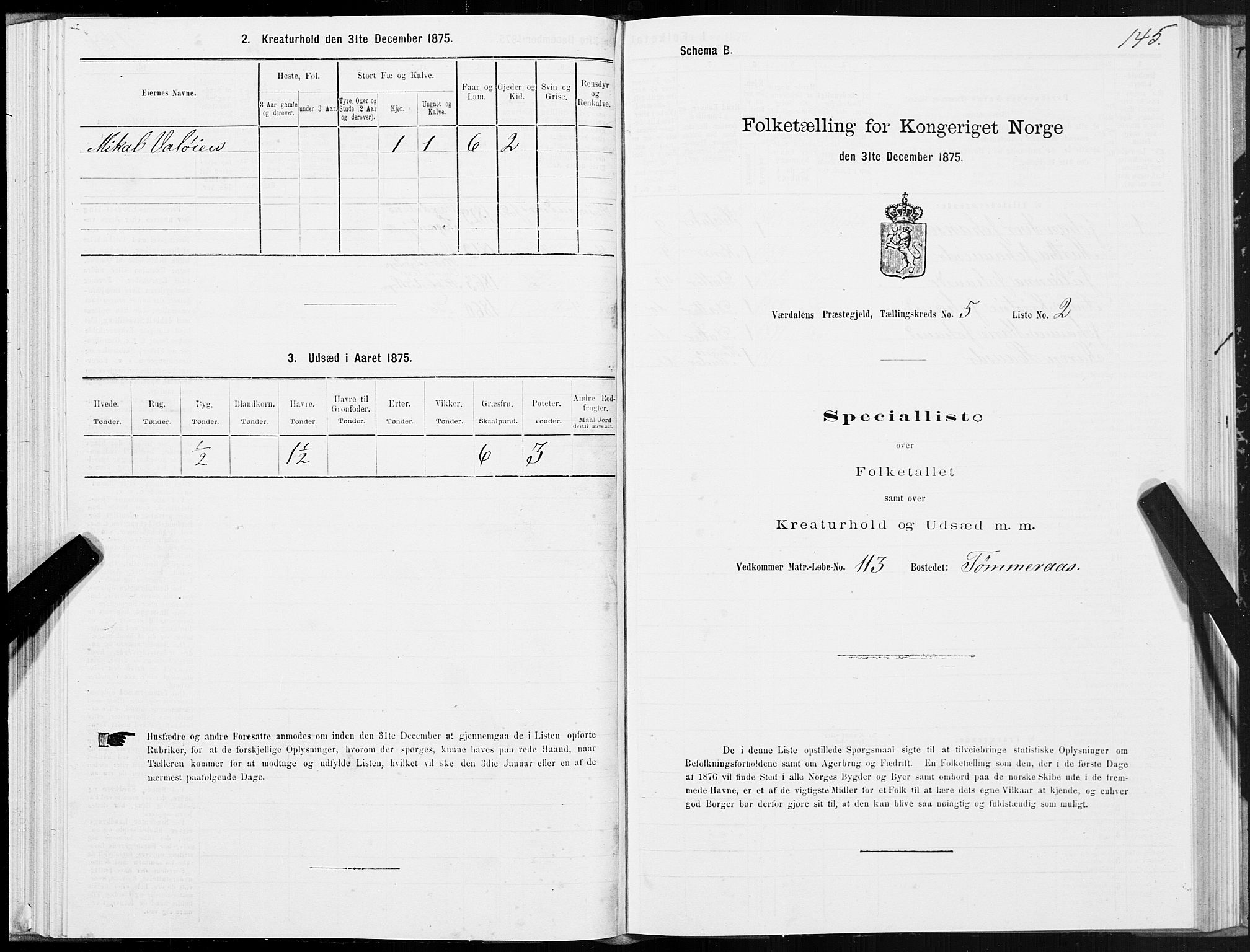 SAT, 1875 census for 1721P Verdal, 1875, p. 3145