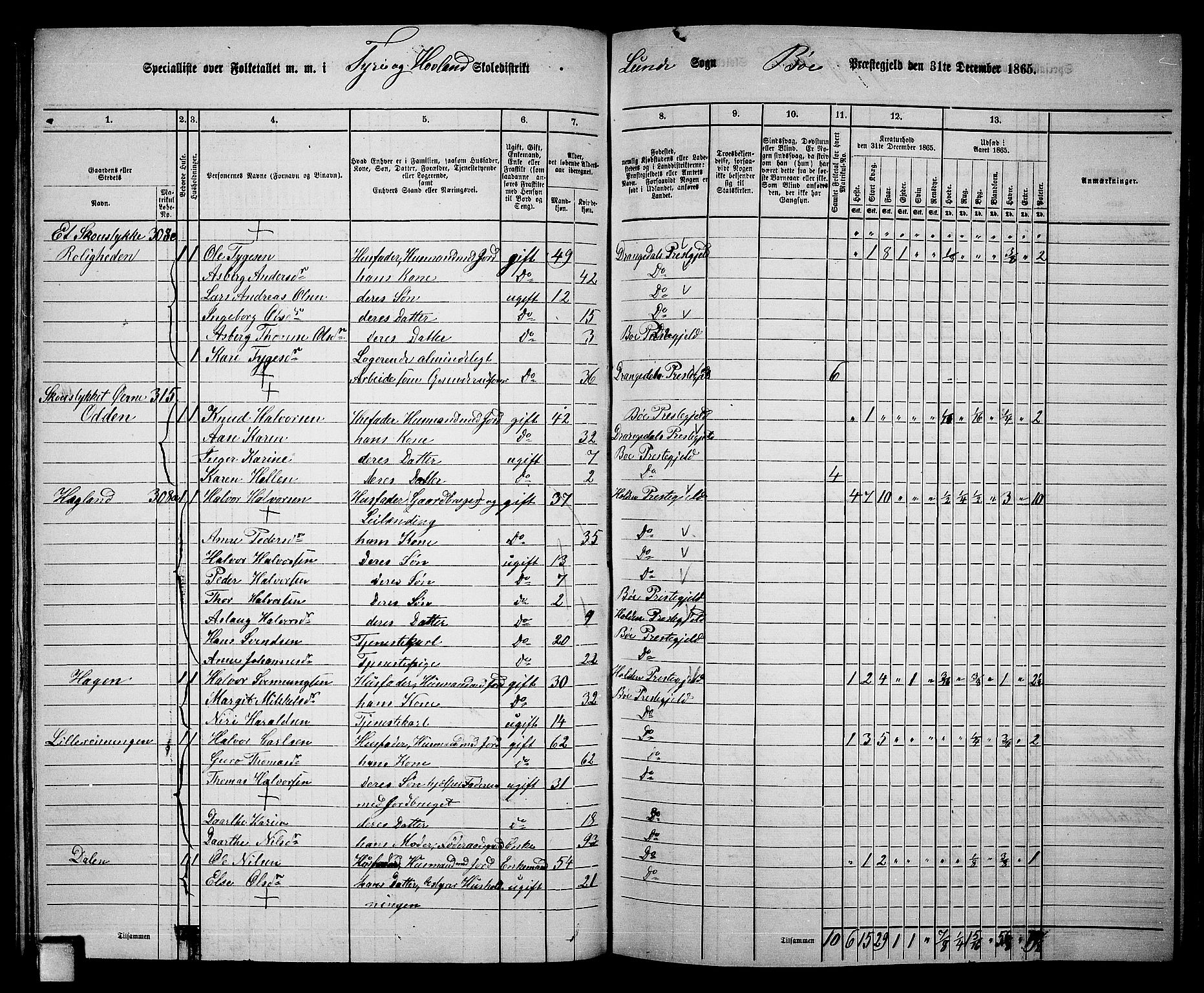 RA, 1865 census for Bø, 1865, p. 79