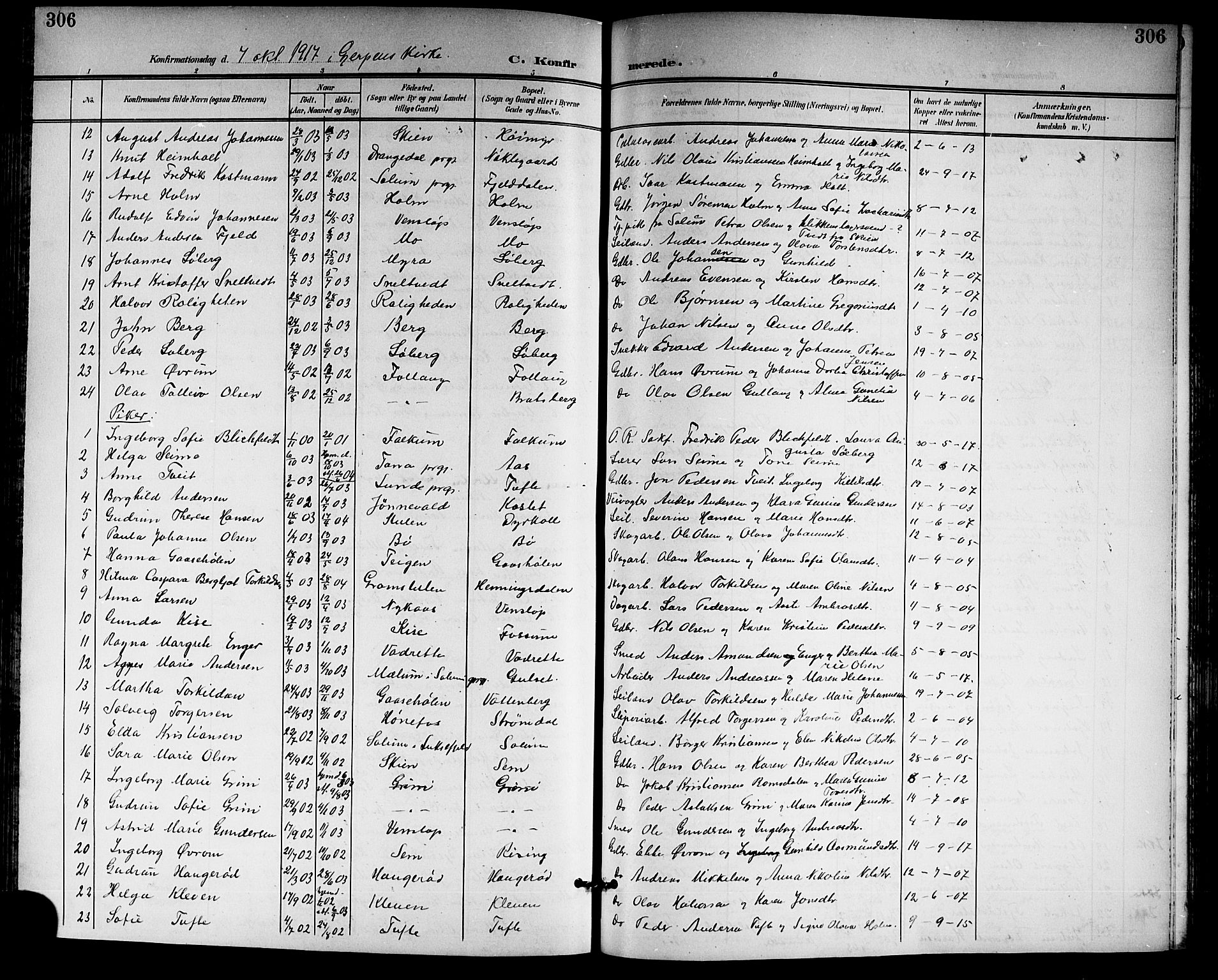 Gjerpen kirkebøker, SAKO/A-265/G/Ga/L0003: Parish register (copy) no. I 3, 1901-1919, p. 306