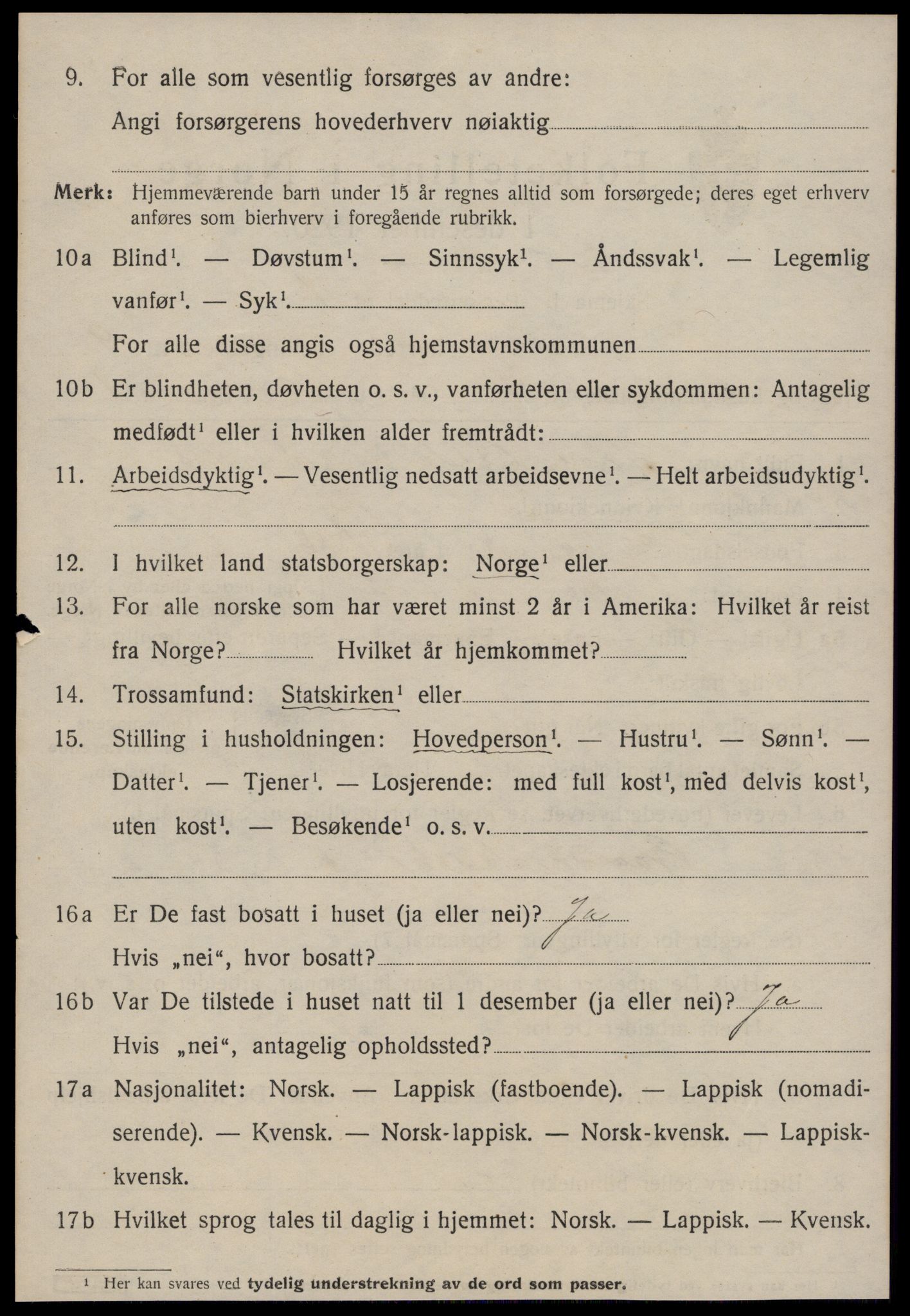 SAT, 1920 census for Selbu, 1920, p. 4963