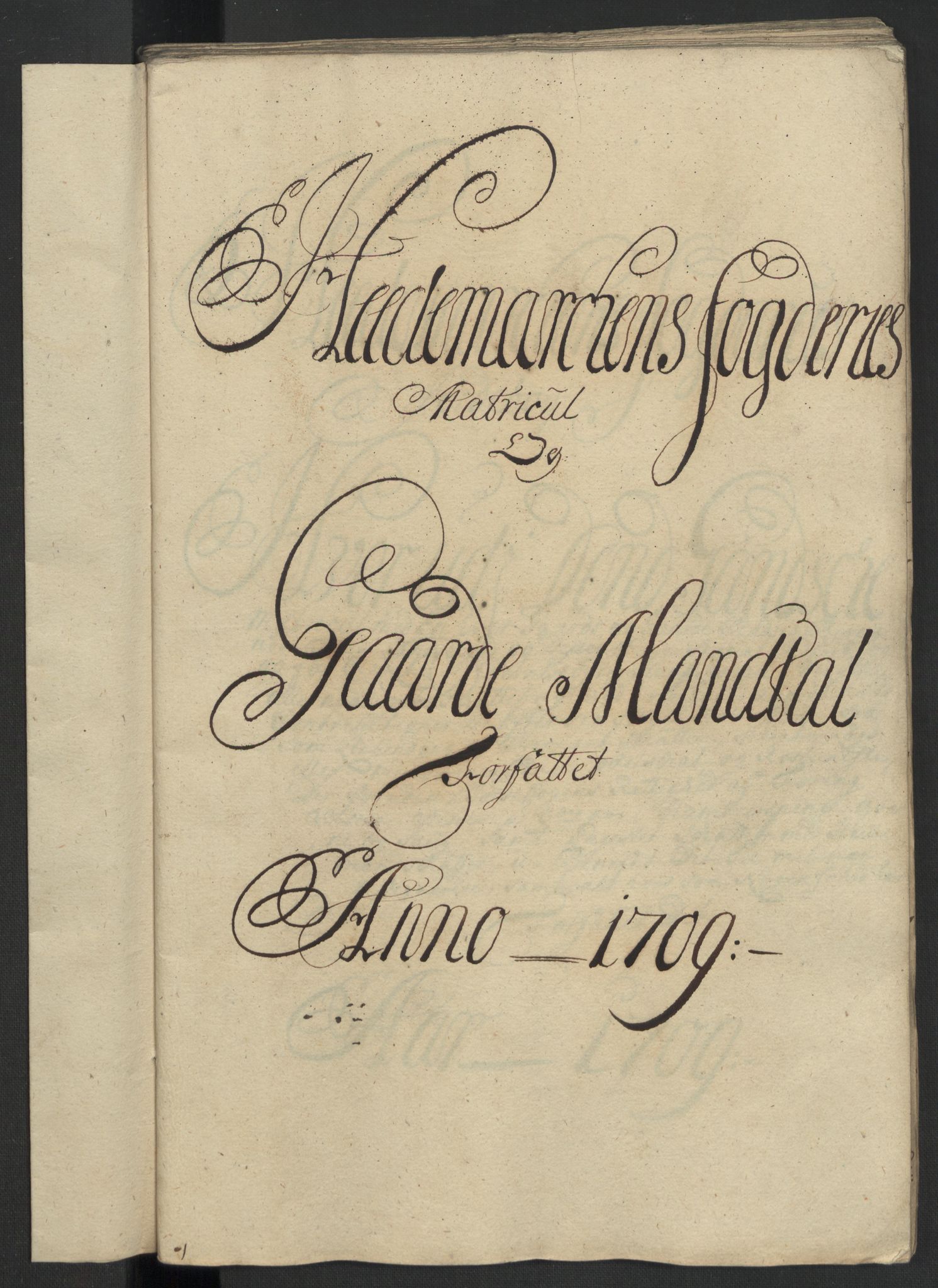 Rentekammeret inntil 1814, Reviderte regnskaper, Fogderegnskap, RA/EA-4092/R16/L1045: Fogderegnskap Hedmark, 1709, p. 66