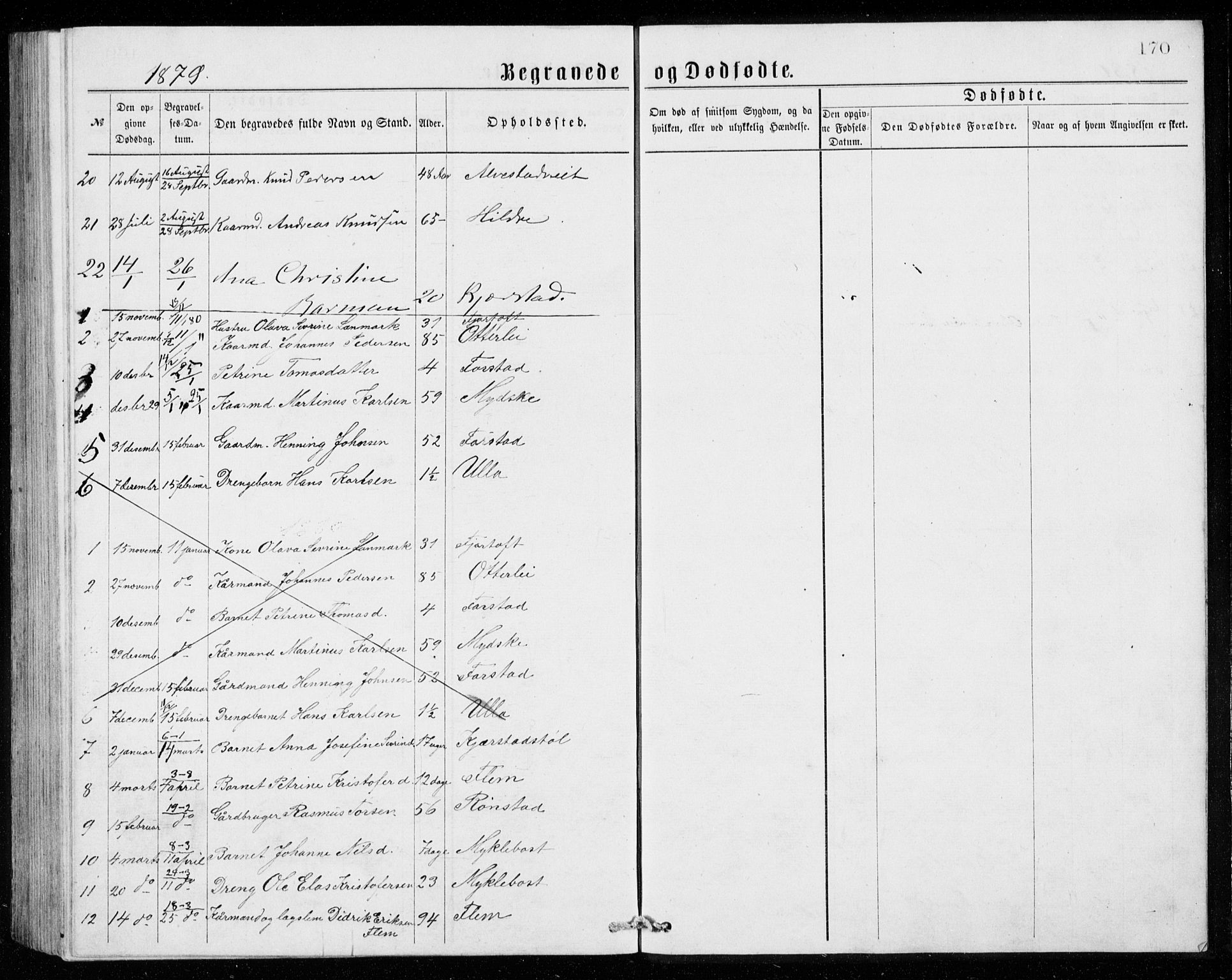 Ministerialprotokoller, klokkerbøker og fødselsregistre - Møre og Romsdal, AV/SAT-A-1454/536/L0509: Parish register (copy) no. 536C04, 1871-1881, p. 170