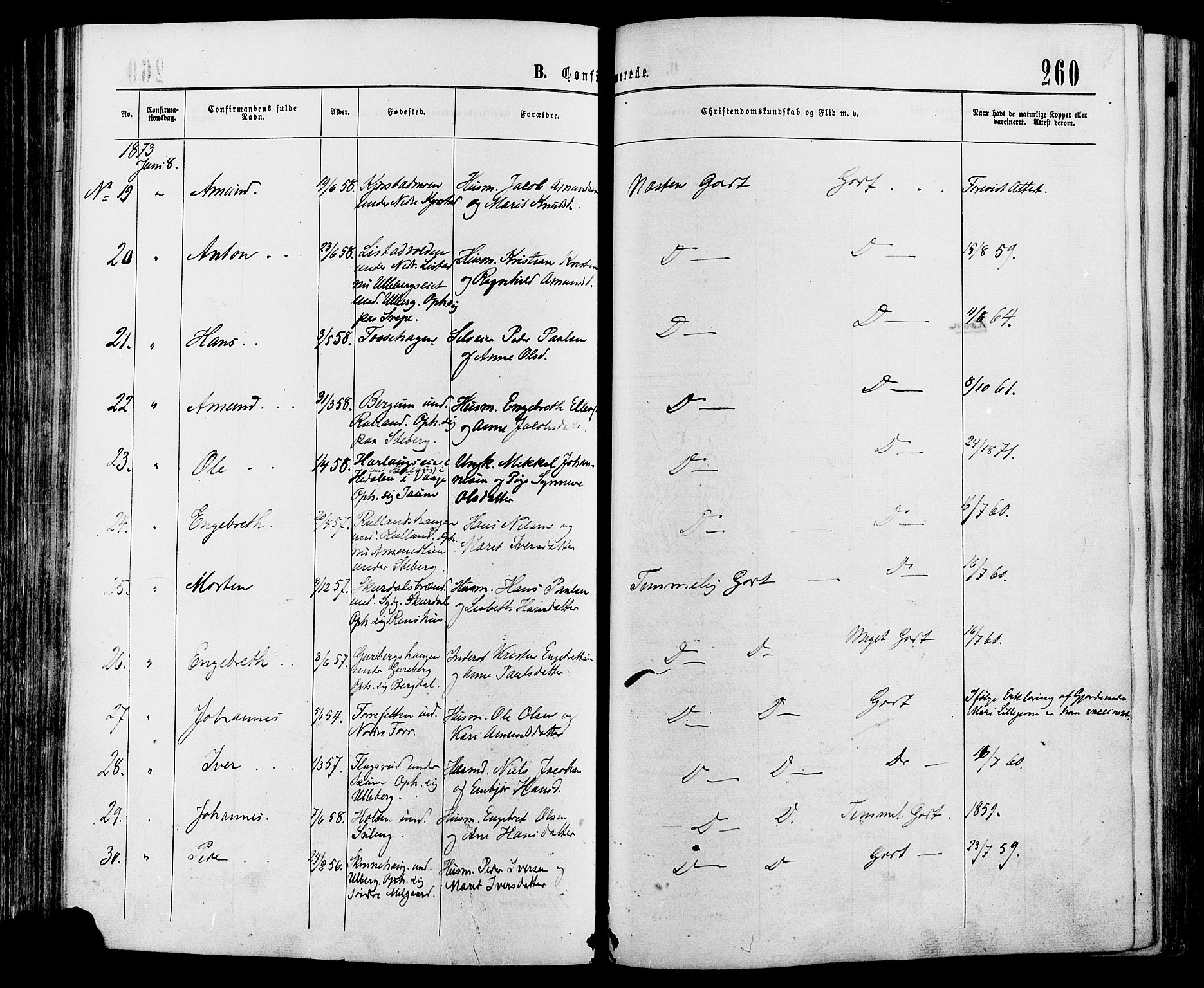 Sør-Fron prestekontor, AV/SAH-PREST-010/H/Ha/Haa/L0002: Parish register (official) no. 2, 1864-1880, p. 260