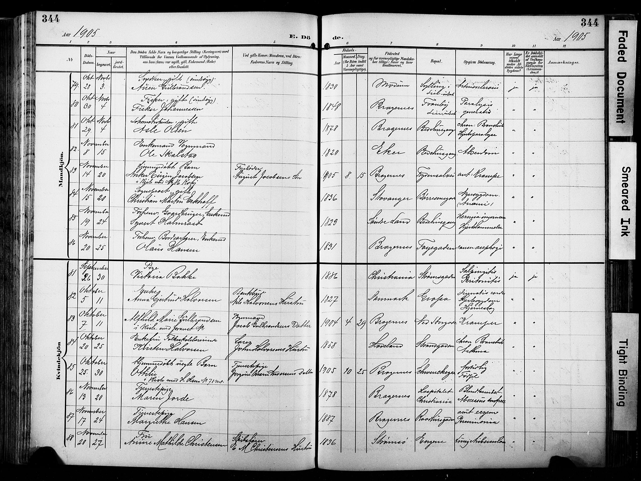 Bragernes kirkebøker, AV/SAKO-A-6/F/Fb/L0009: Parish register (official) no. II 9, 1902-1911, p. 344