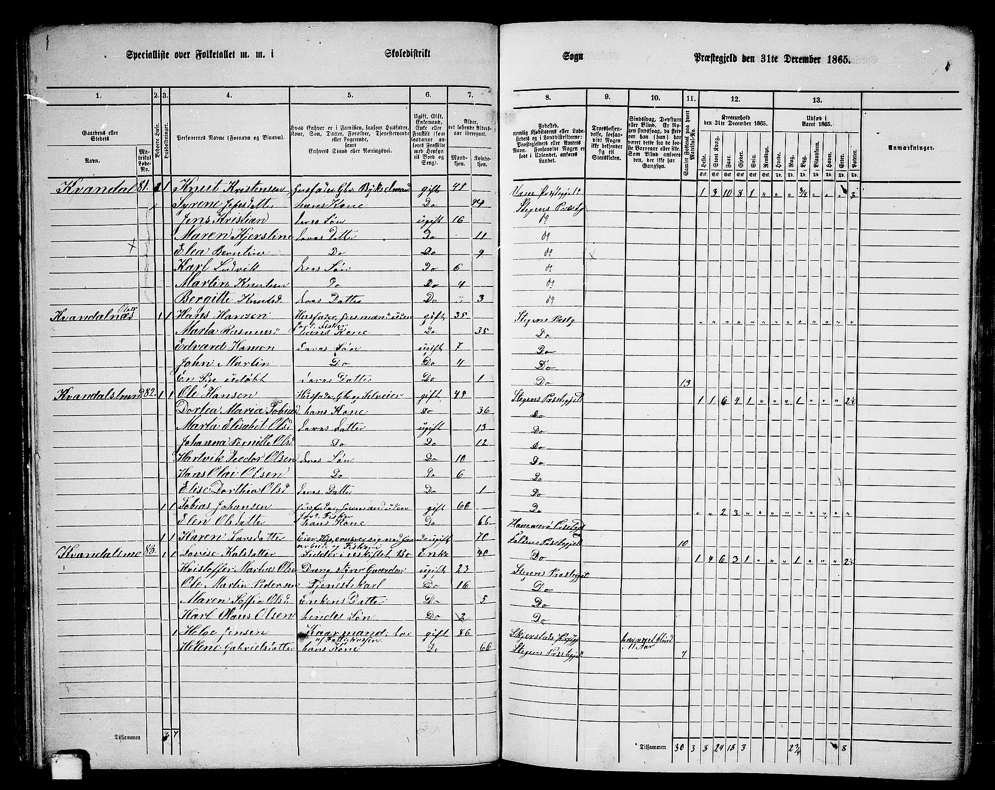 RA, 1865 census for Steigen, 1865, p. 43