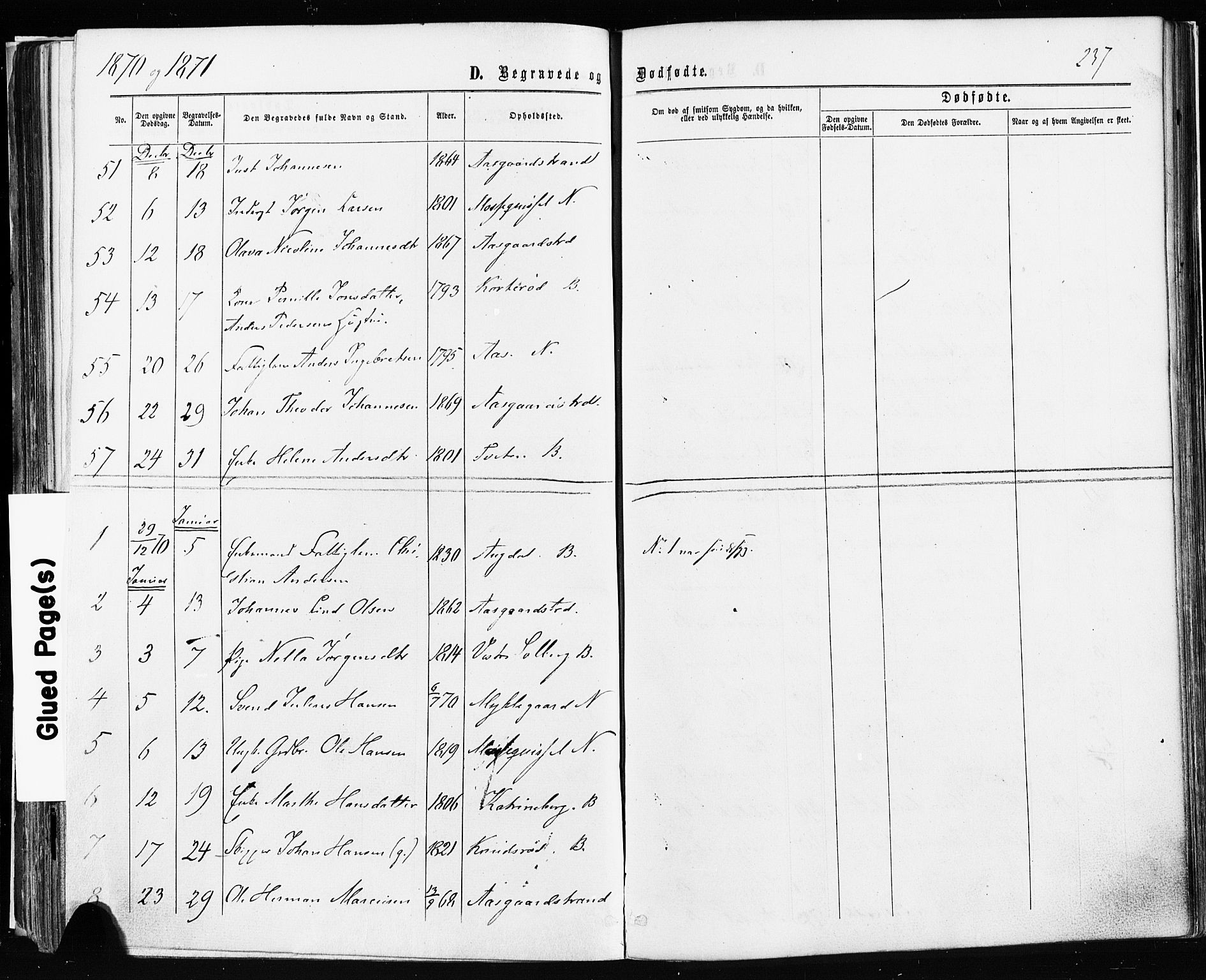 Borre kirkebøker, AV/SAKO-A-338/F/Fa/L0008: Parish register (official) no. I 8, 1868-1877, p. 237