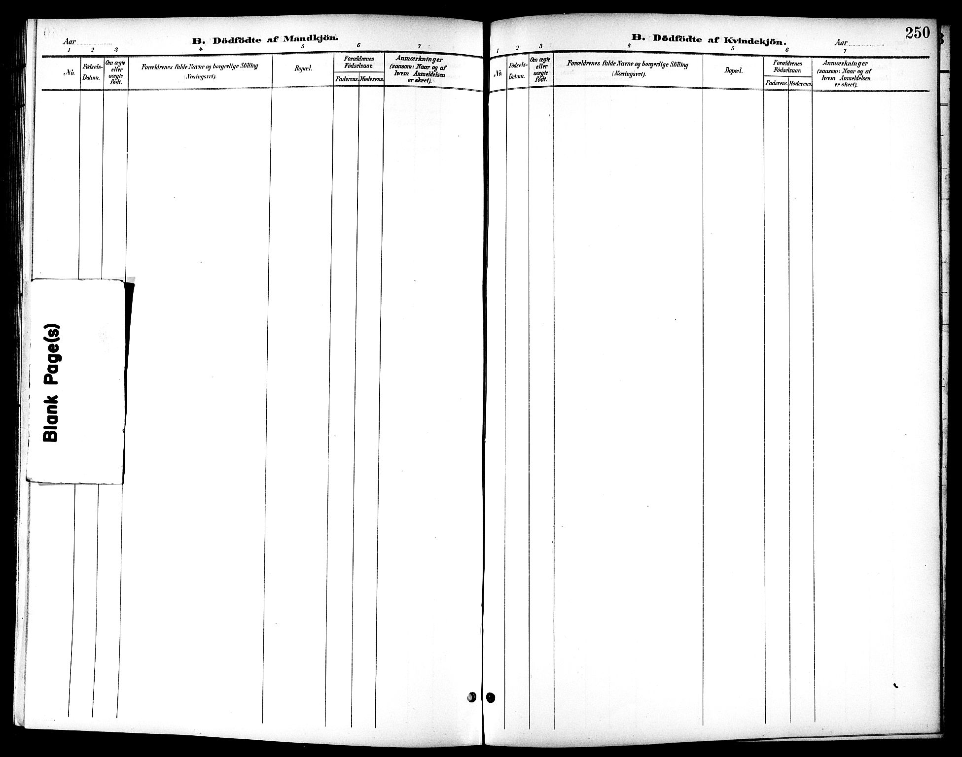 Ministerialprotokoller, klokkerbøker og fødselsregistre - Sør-Trøndelag, SAT/A-1456/601/L0094: Parish register (copy) no. 601C12, 1898-1911, p. 250