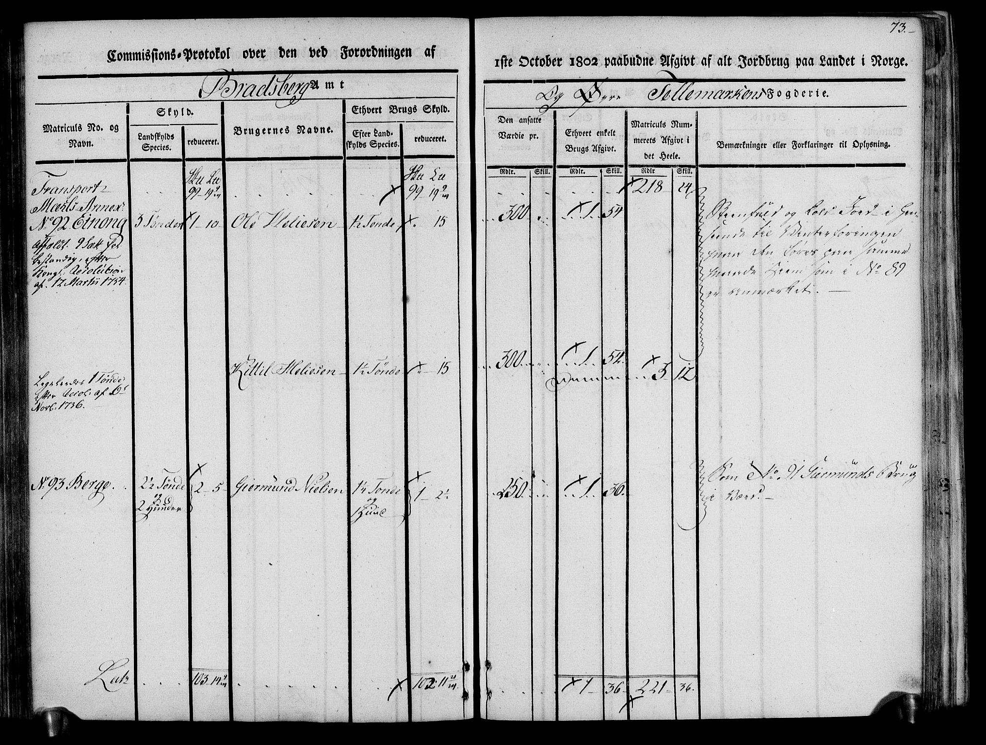 Rentekammeret inntil 1814, Realistisk ordnet avdeling, AV/RA-EA-4070/N/Ne/Nea/L0074: Øvre Telemarken fogderi. Kommisjonsprotokoll for fogderiets østre del - Tinn, Hjartdal og Seljord prestegjeld., 1803, p. 73