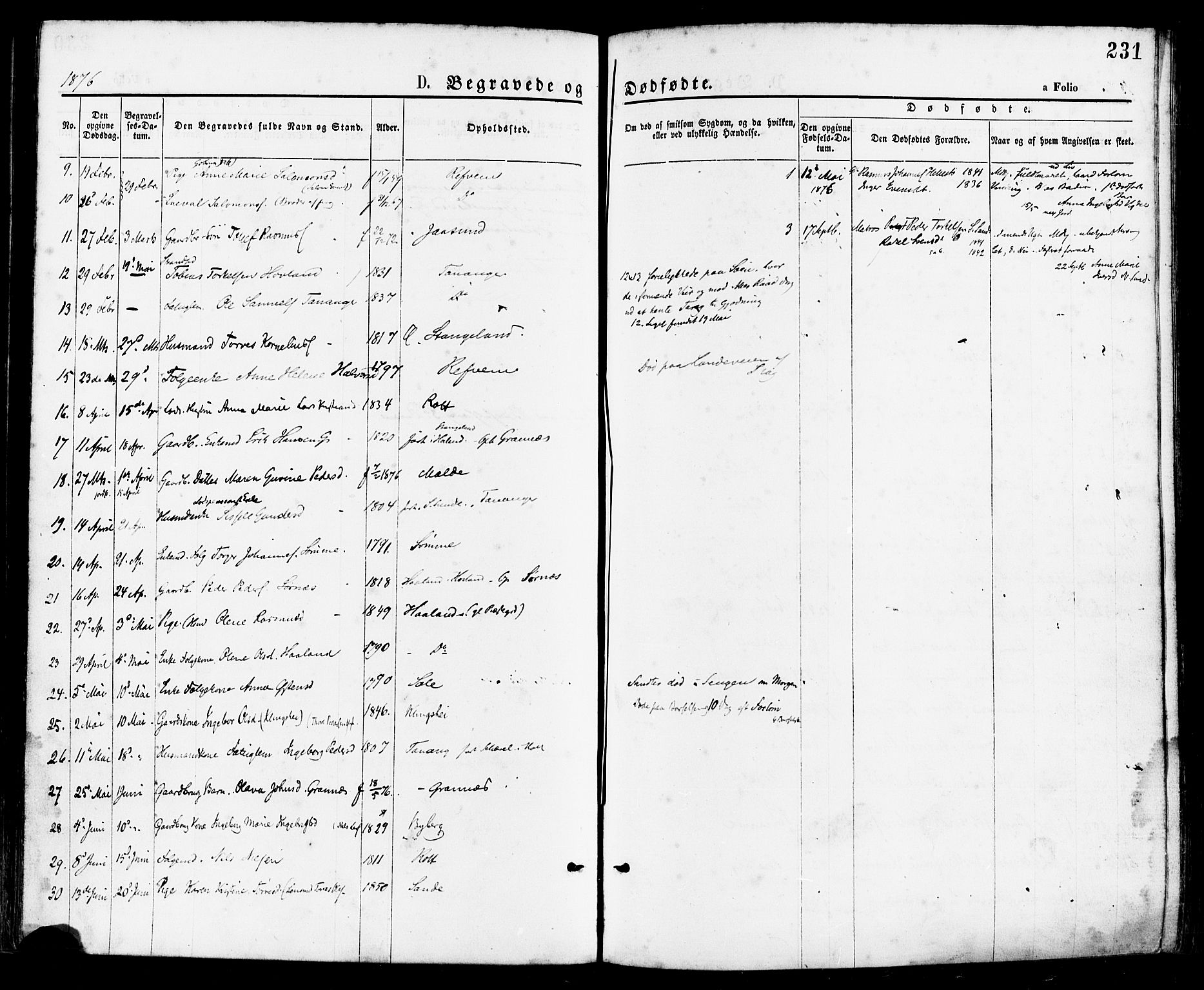 Håland sokneprestkontor, AV/SAST-A-101802/001/30BA/L0009: Parish register (official) no. A 8, 1871-1882, p. 231