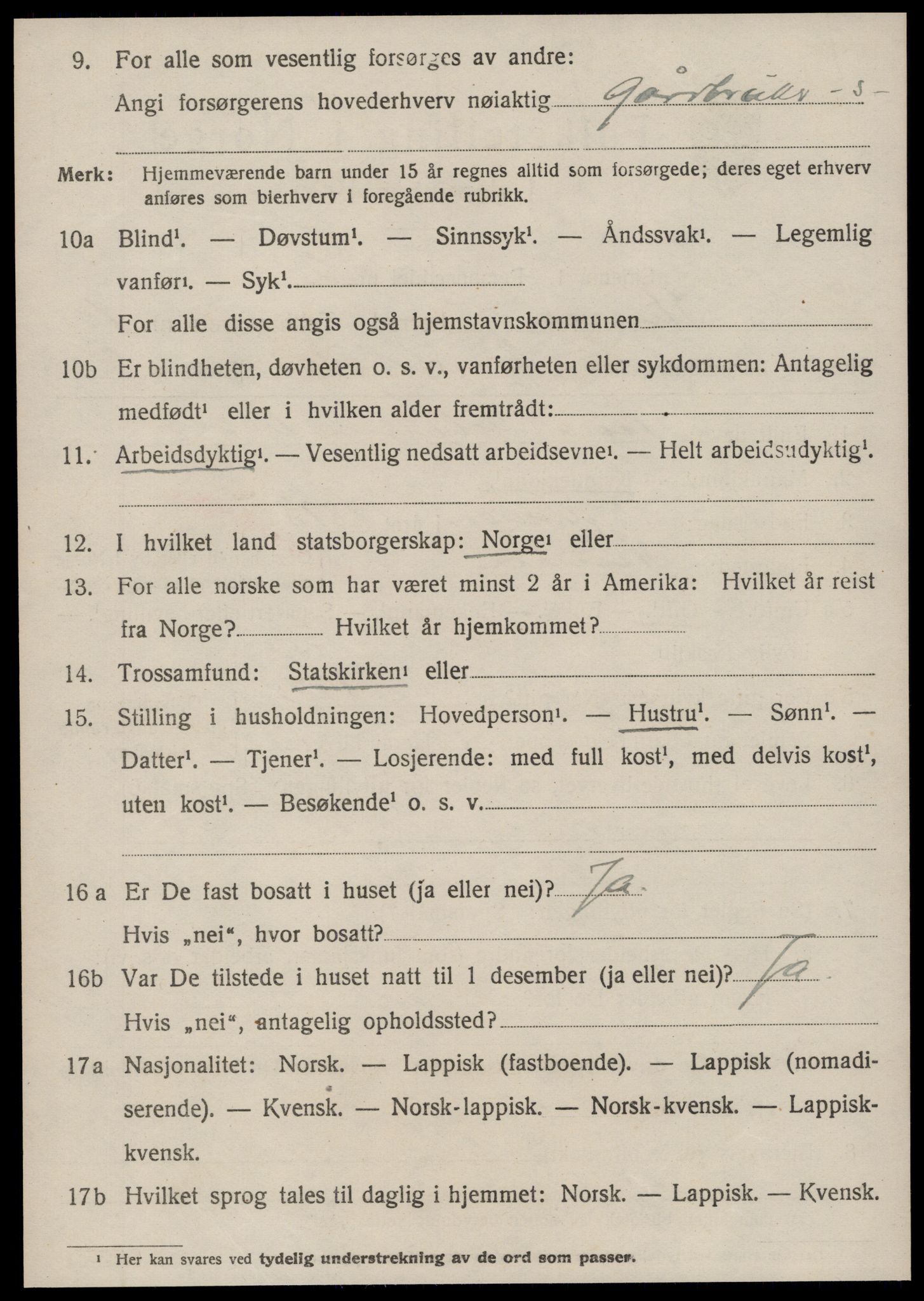 SAT, 1920 census for Hemne, 1920, p. 6133