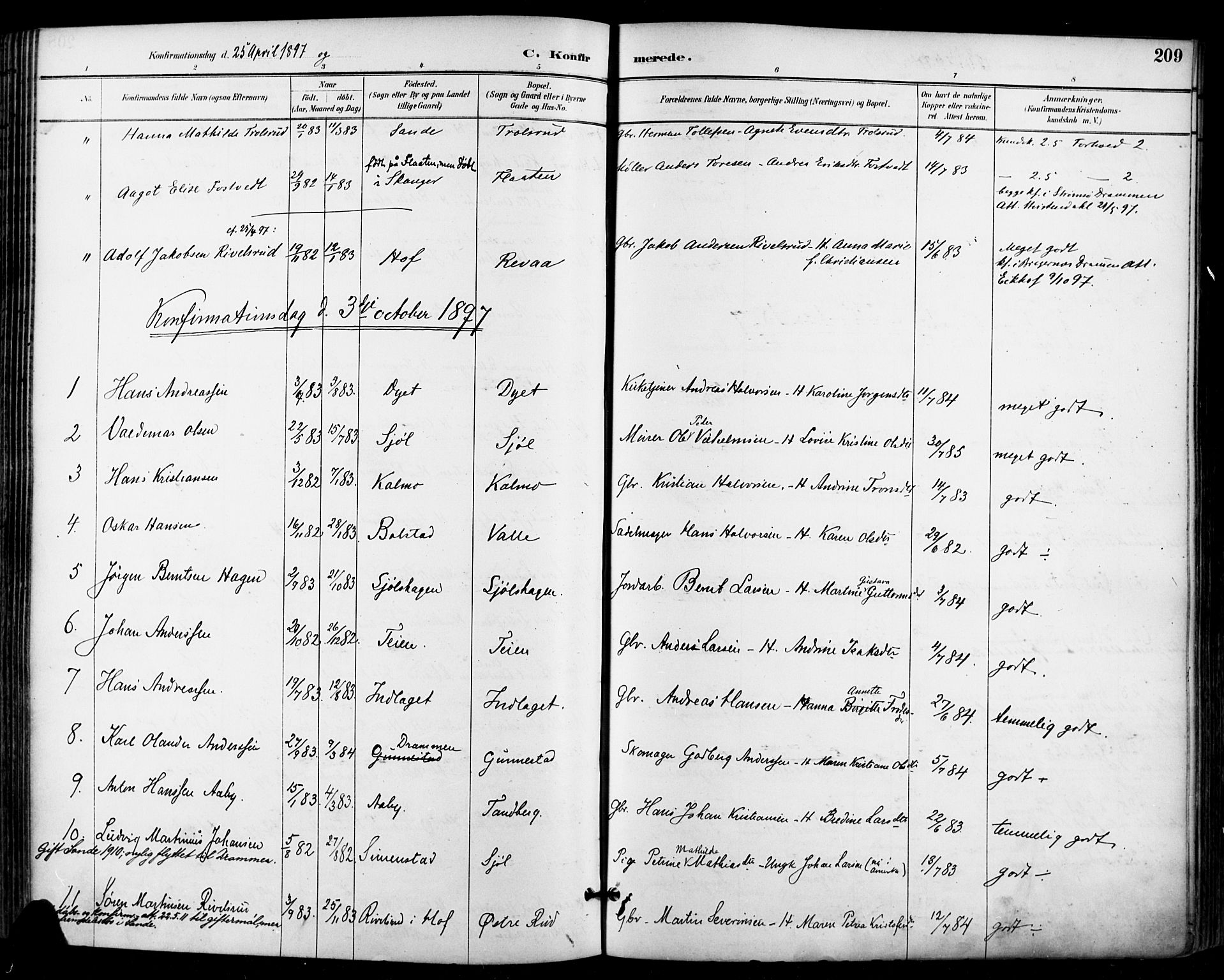 Sande Kirkebøker, SAKO/A-53/F/Fa/L0007: Parish register (official) no. 7, 1888-1903, p. 209