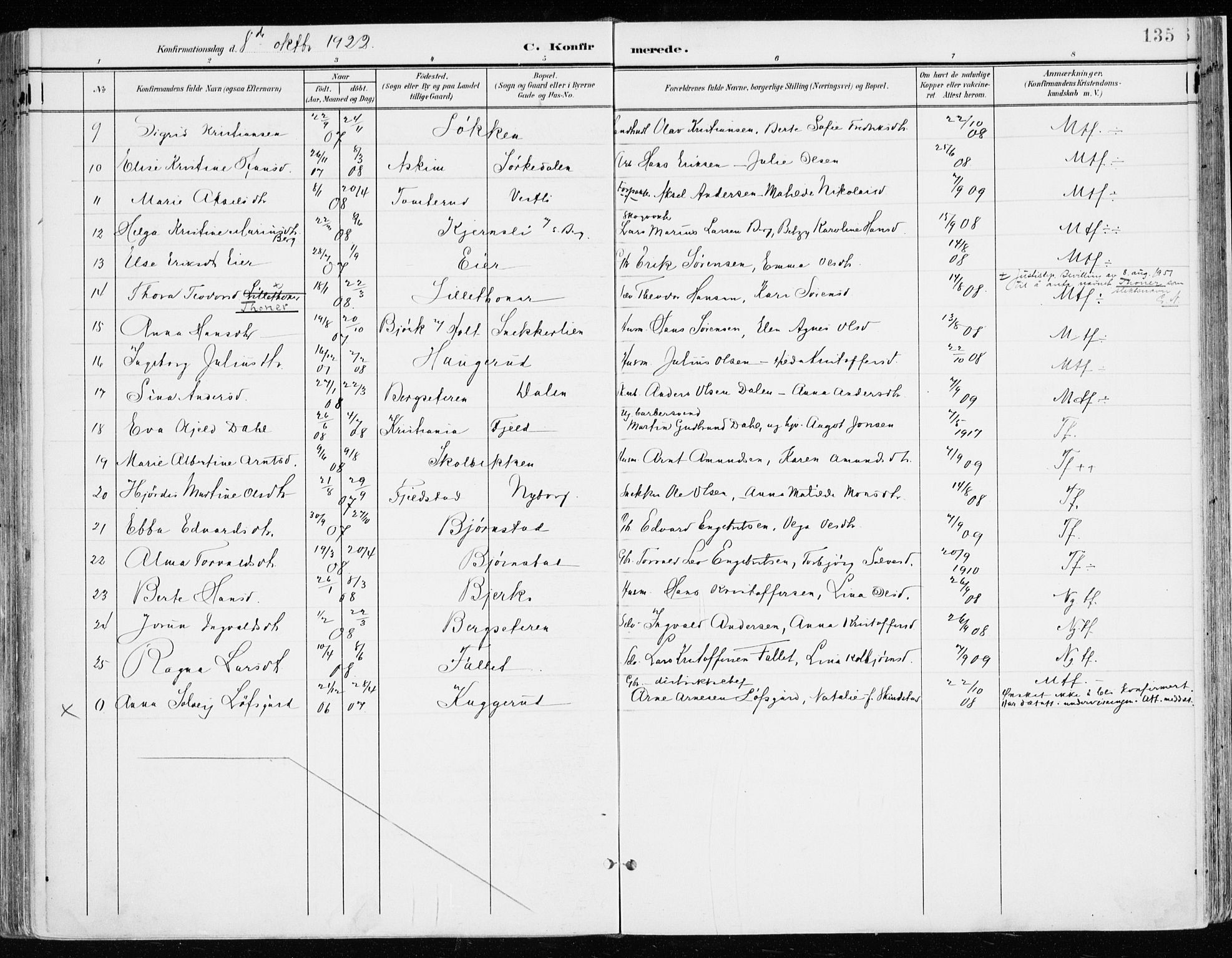 Nord-Odal prestekontor, AV/SAH-PREST-032/H/Ha/Haa/L0009: Parish register (official) no. 9, 1902-1926, p. 135