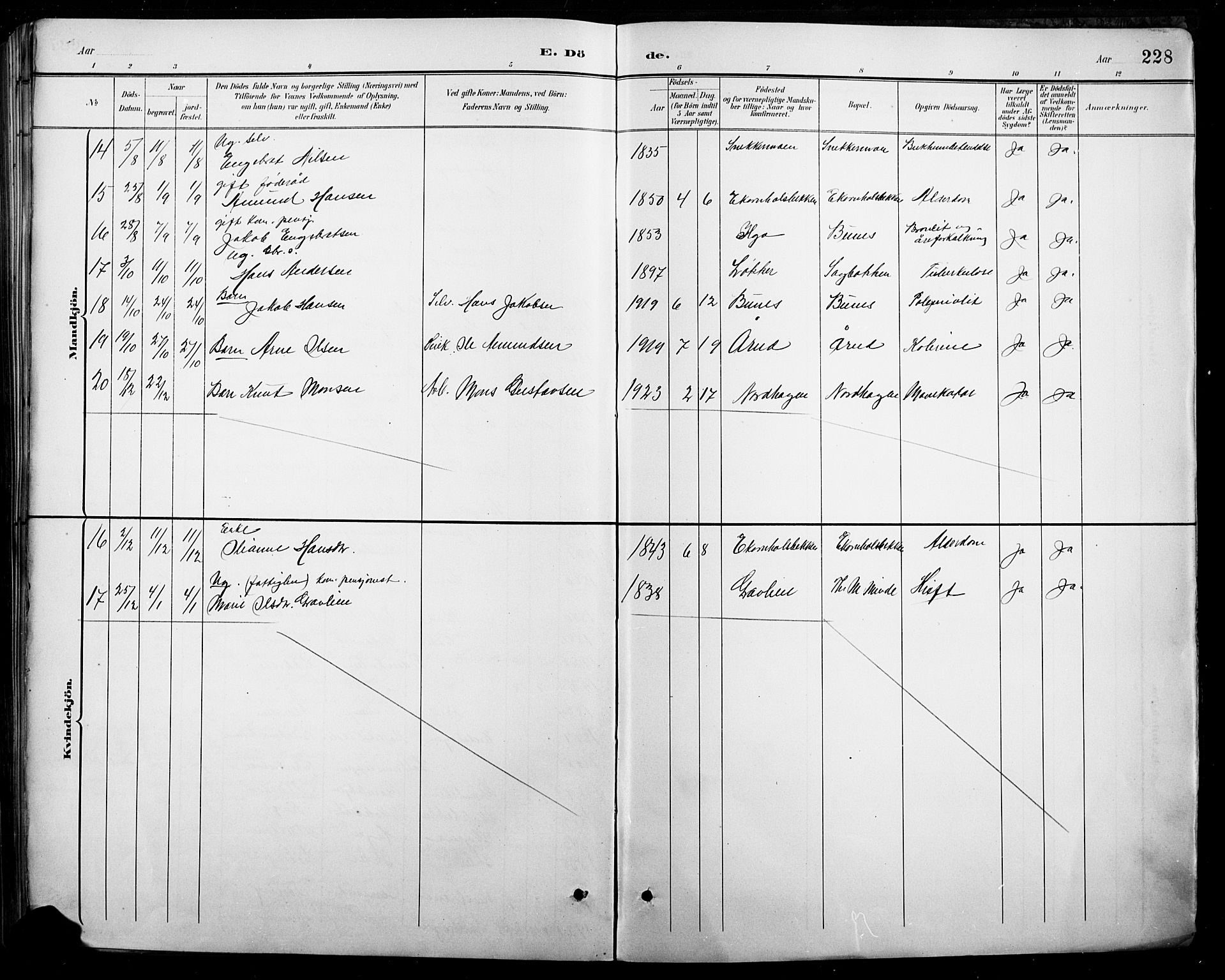 Nord-Odal prestekontor, AV/SAH-PREST-032/H/Ha/Hab/L0003: Parish register (copy) no. 3, 1895-1923, p. 228