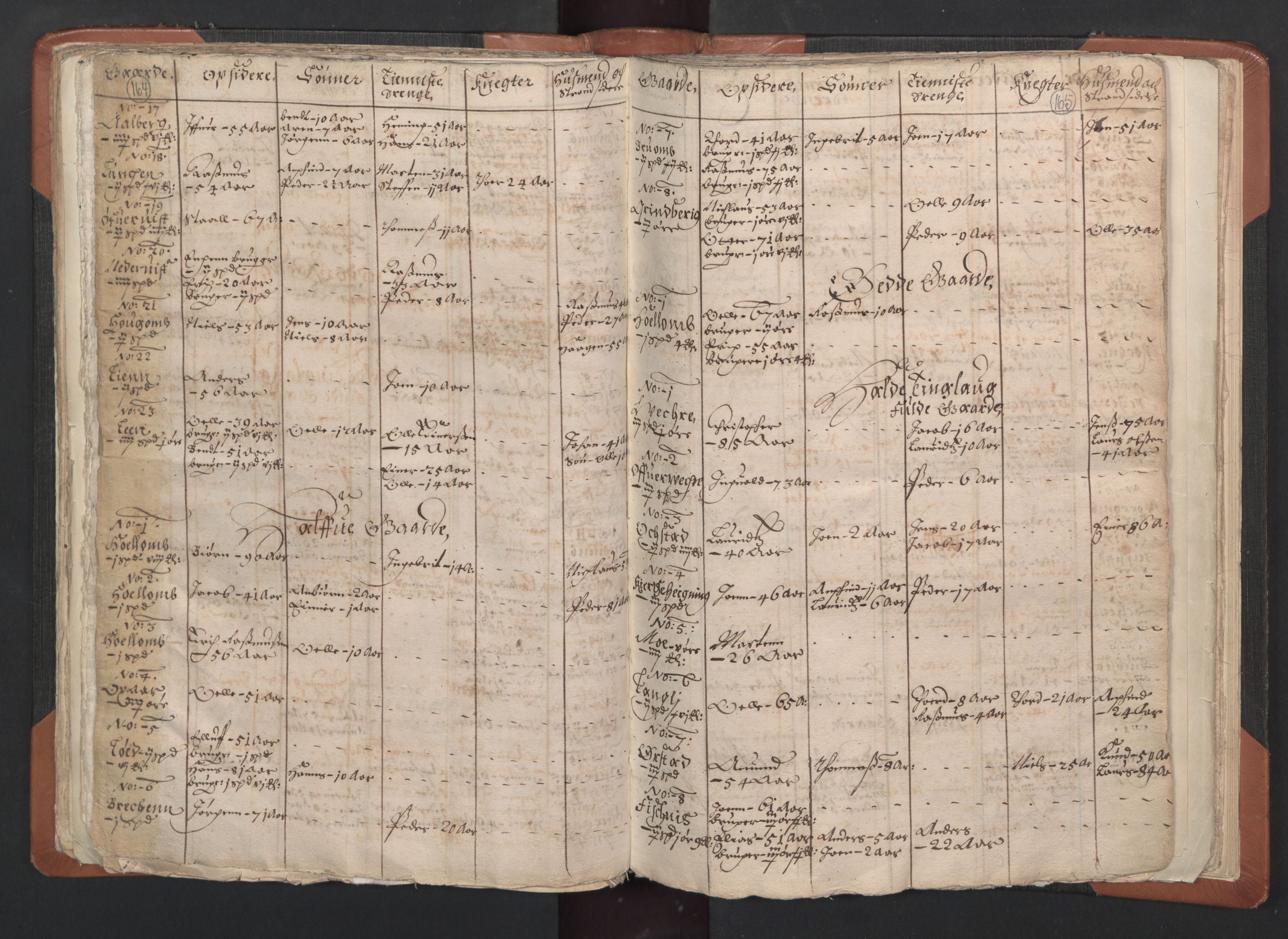 RA, Vicar's Census 1664-1666, no. 33: Innherad deanery, 1664-1666, p. 164-165
