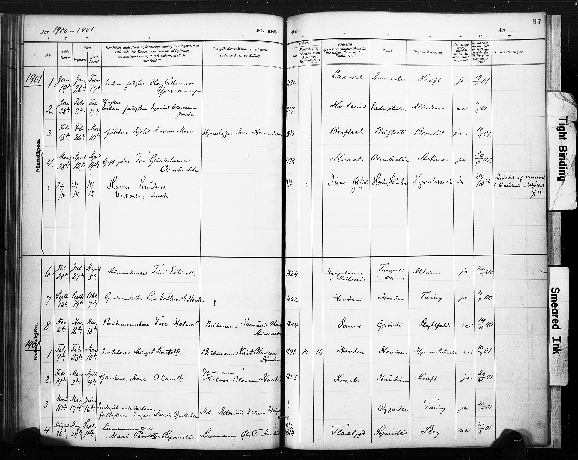 Lårdal kirkebøker, SAKO/A-284/F/Fc/L0002: Parish register (official) no. III 2, 1887-1906, p. 87