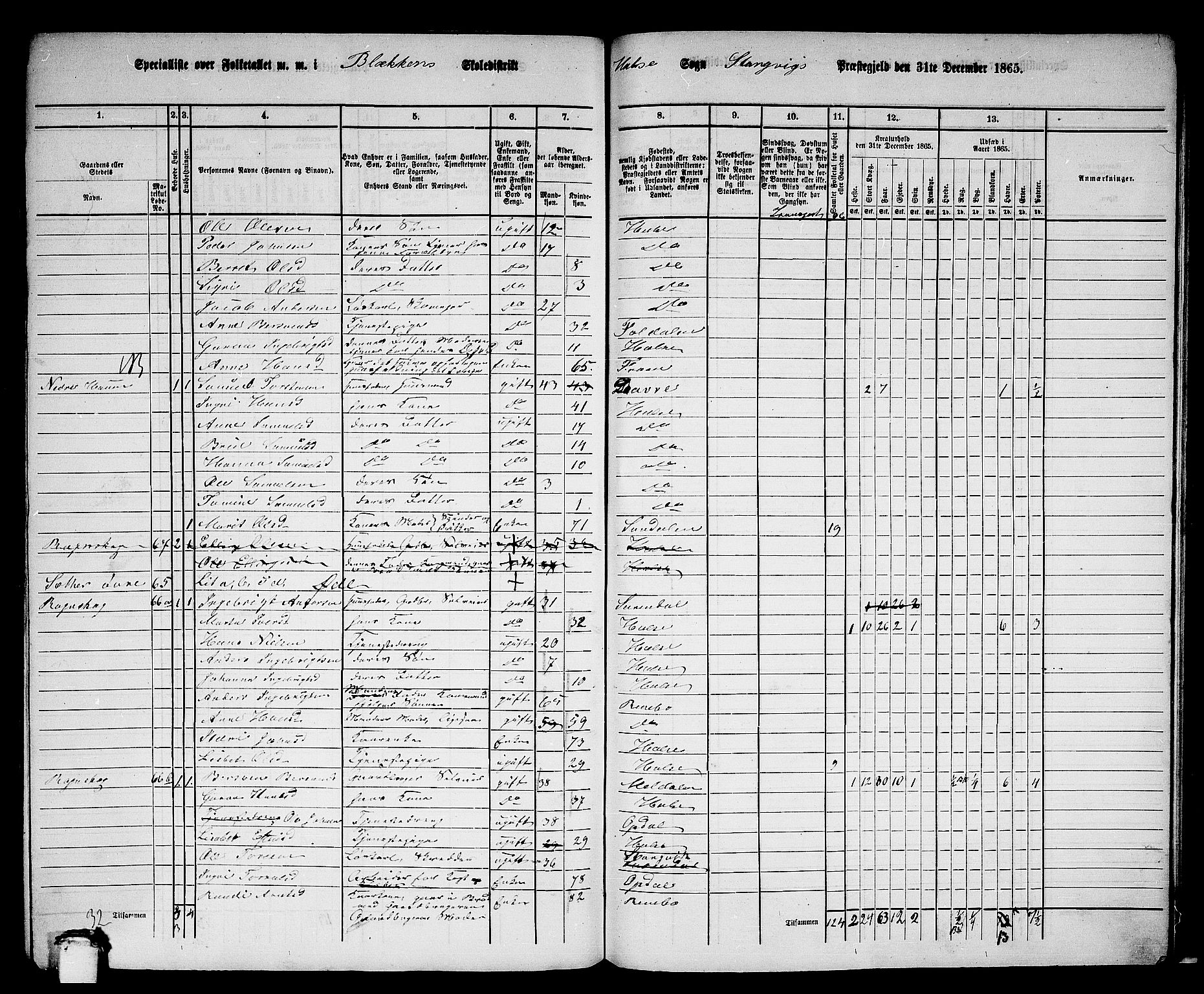 RA, 1865 census for Stangvik, 1865, p. 165