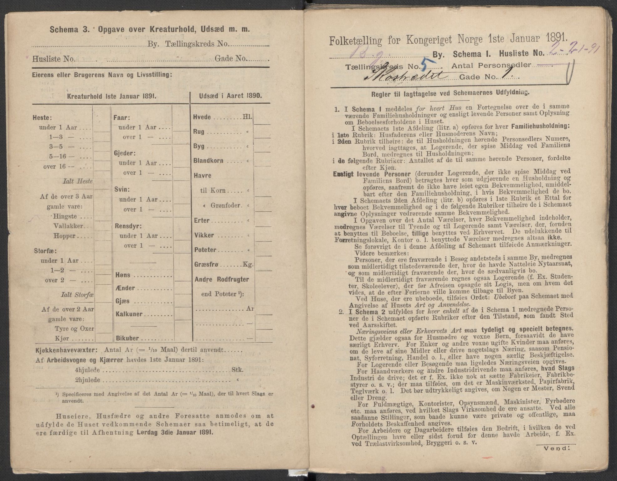 RA, 1891 Census for 1301 Bergen, 1891, p. 860