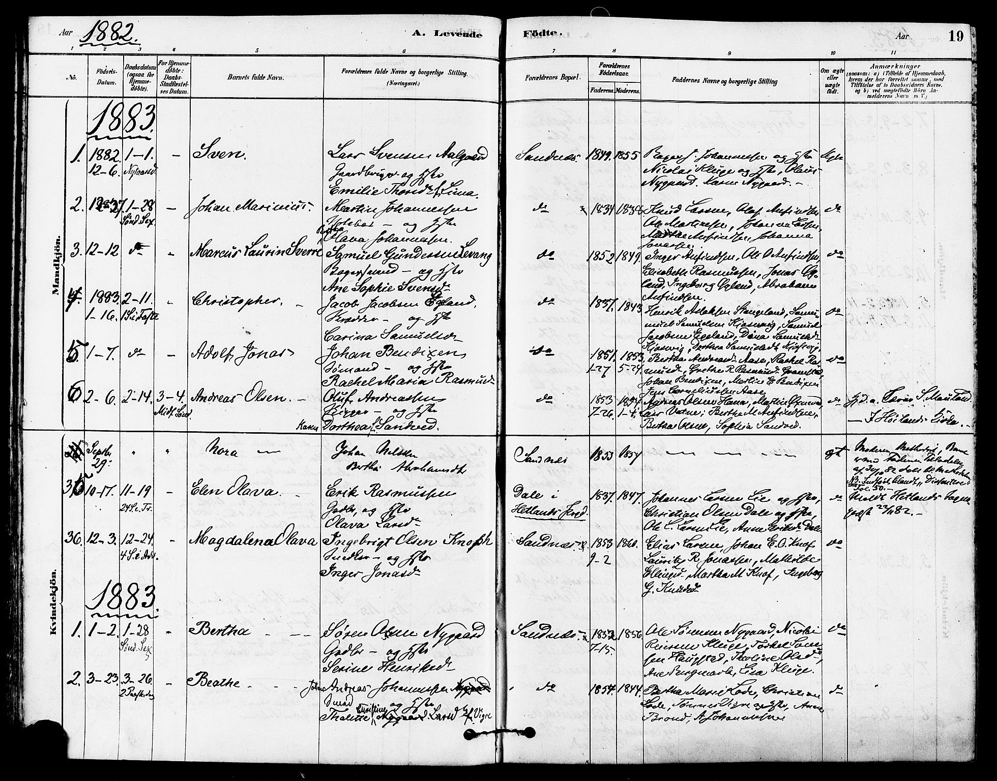 Høyland sokneprestkontor, SAST/A-101799/001/30BA/L0012: Parish register (official) no. A 11, 1878-1889, p. 19