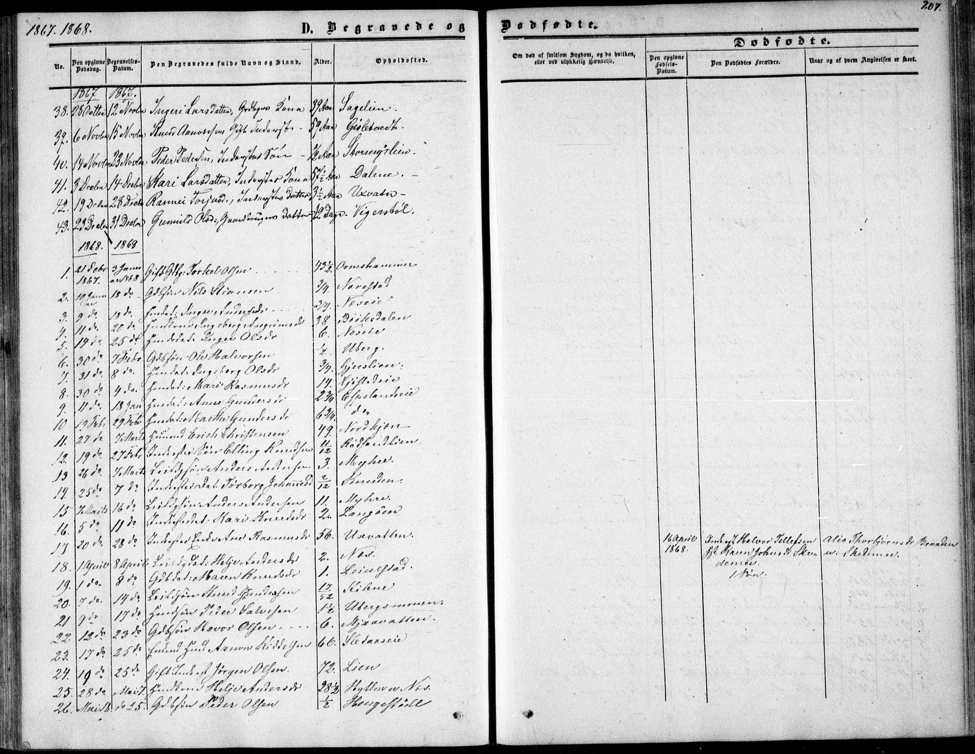 Gjerstad sokneprestkontor, SAK/1111-0014/F/Fa/Fab/L0003: Parish register (official) no. A 3, 1853-1878, p. 207