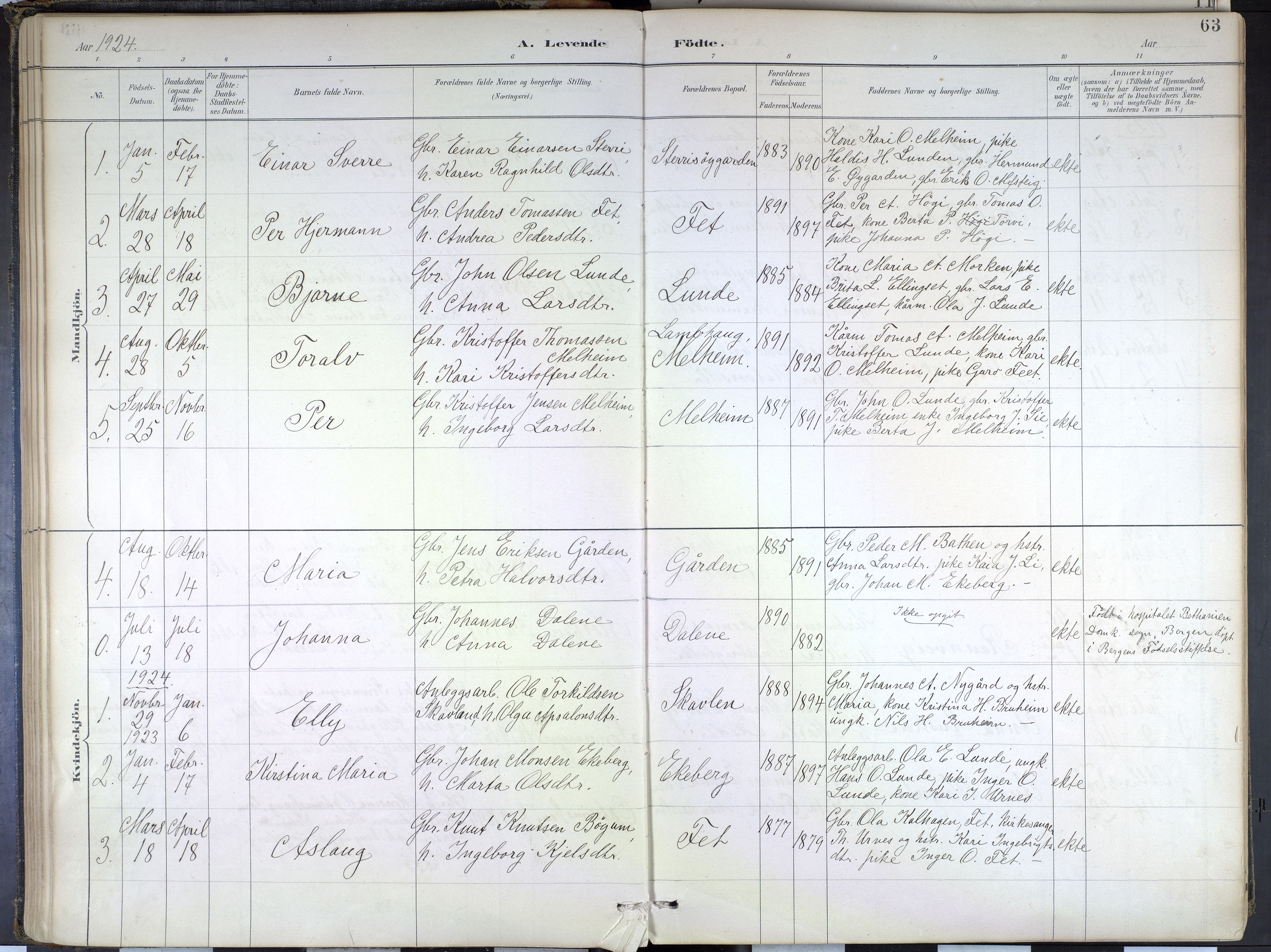 Hafslo sokneprestembete, SAB/A-80301/H/Haa/Haad/L0001: Parish register (official) no. D 1, 1886-1934, p. 63