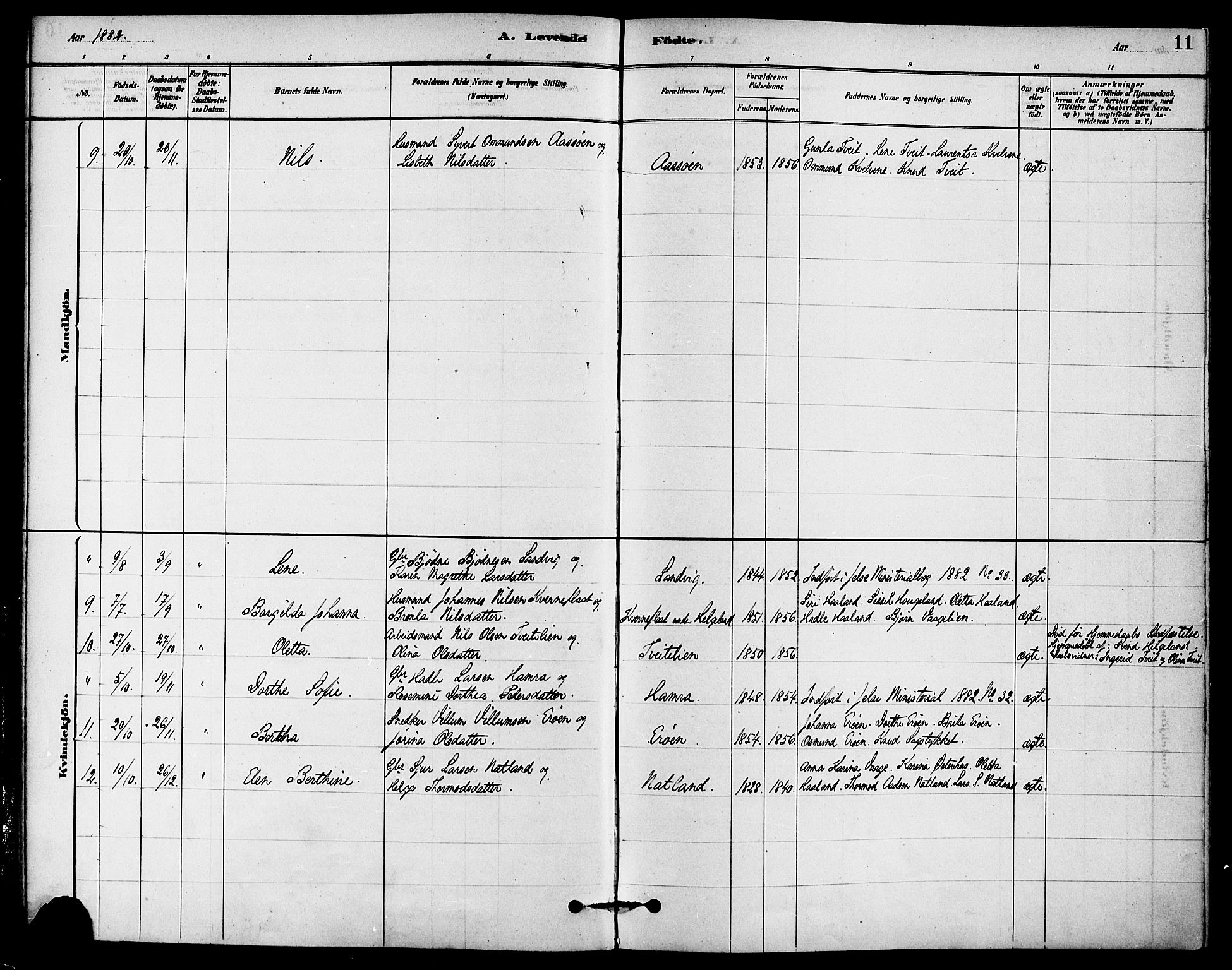 Jelsa sokneprestkontor, AV/SAST-A-101842/01/IV: Parish register (official) no. A 9, 1878-1898, p. 11