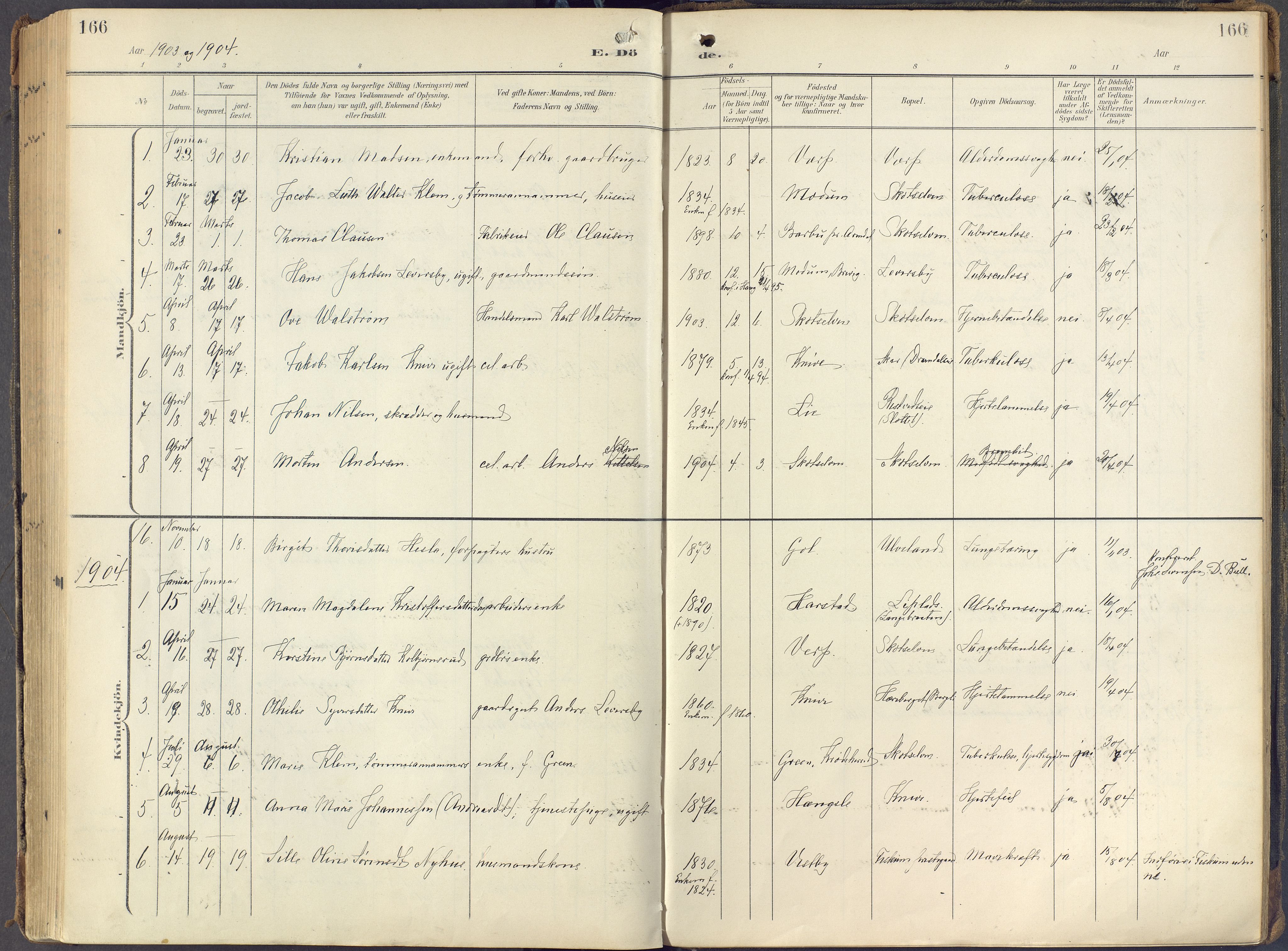 Eiker kirkebøker, AV/SAKO-A-4/F/Fc/L0004: Parish register (official) no. III 4, 1900-1919, p. 166