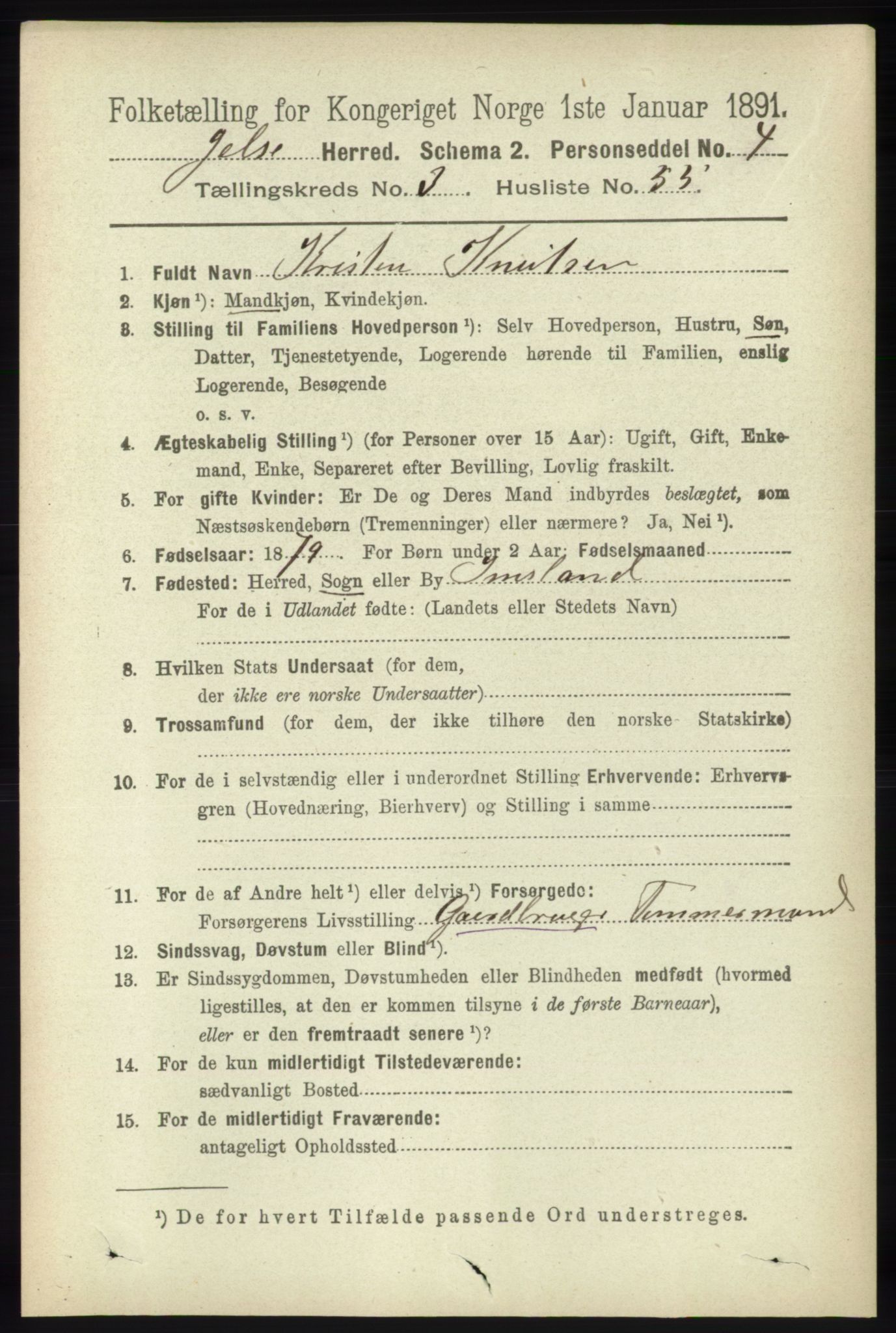 RA, 1891 census for 1138 Jelsa, 1891, p. 629