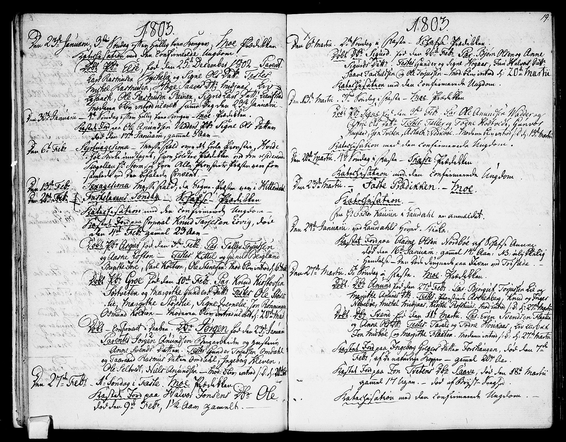 Mo kirkebøker, AV/SAKO-A-286/F/Fa/L0003: Parish register (official) no. I 3, 1800-1814, p. 19